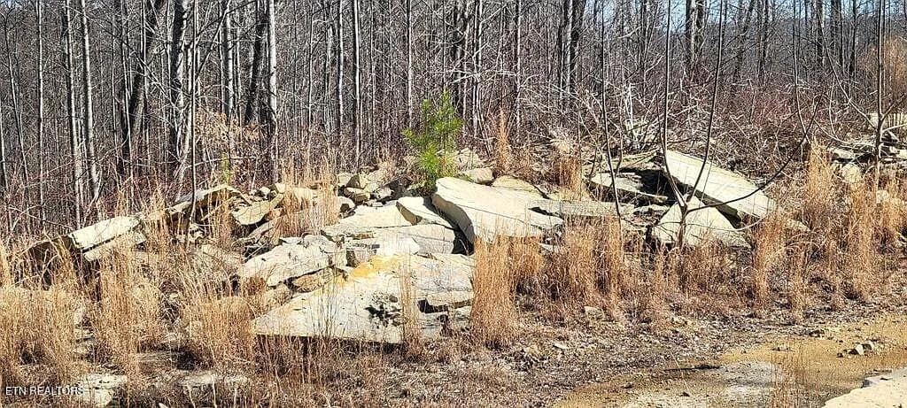 Puncheon_Creek_23_Sandstone_Outcrop - 00 Puncheon Creek Lane, Allred, TN 38542
