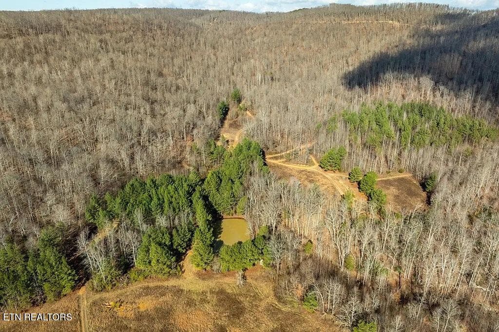 Puncheon_Creek_28_Aerial_Trails_Pines - 00 Puncheon Creek Lane, Allred, TN 38542