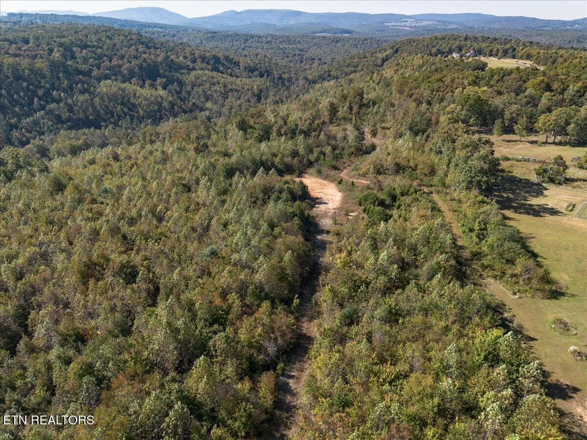 12-DJI_0175-HDR - 0 Doc Loy Rd, Grandview, TN 37337