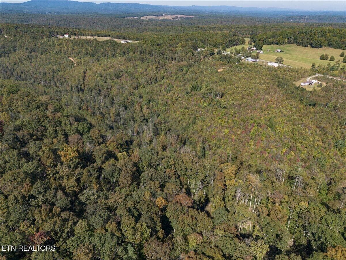 15-DJI_0061-HDR - 0 Doc Loy Rd, Grandview, TN 37337