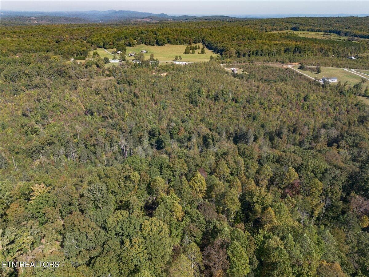 14-DJI_0055-HDR - 0 Doc Loy Rd, Grandview, TN 37337