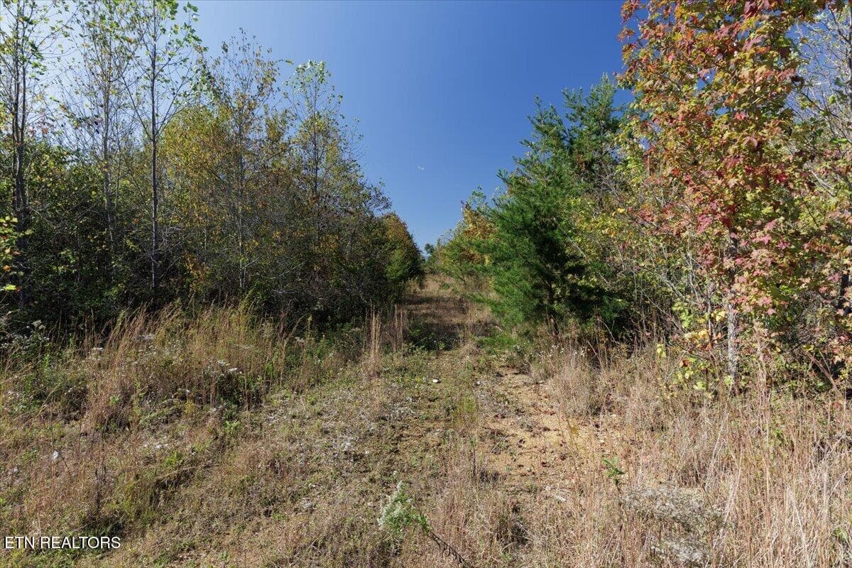 18-568A6359 - 0 Doc Loy Rd, Grandview, TN 37337