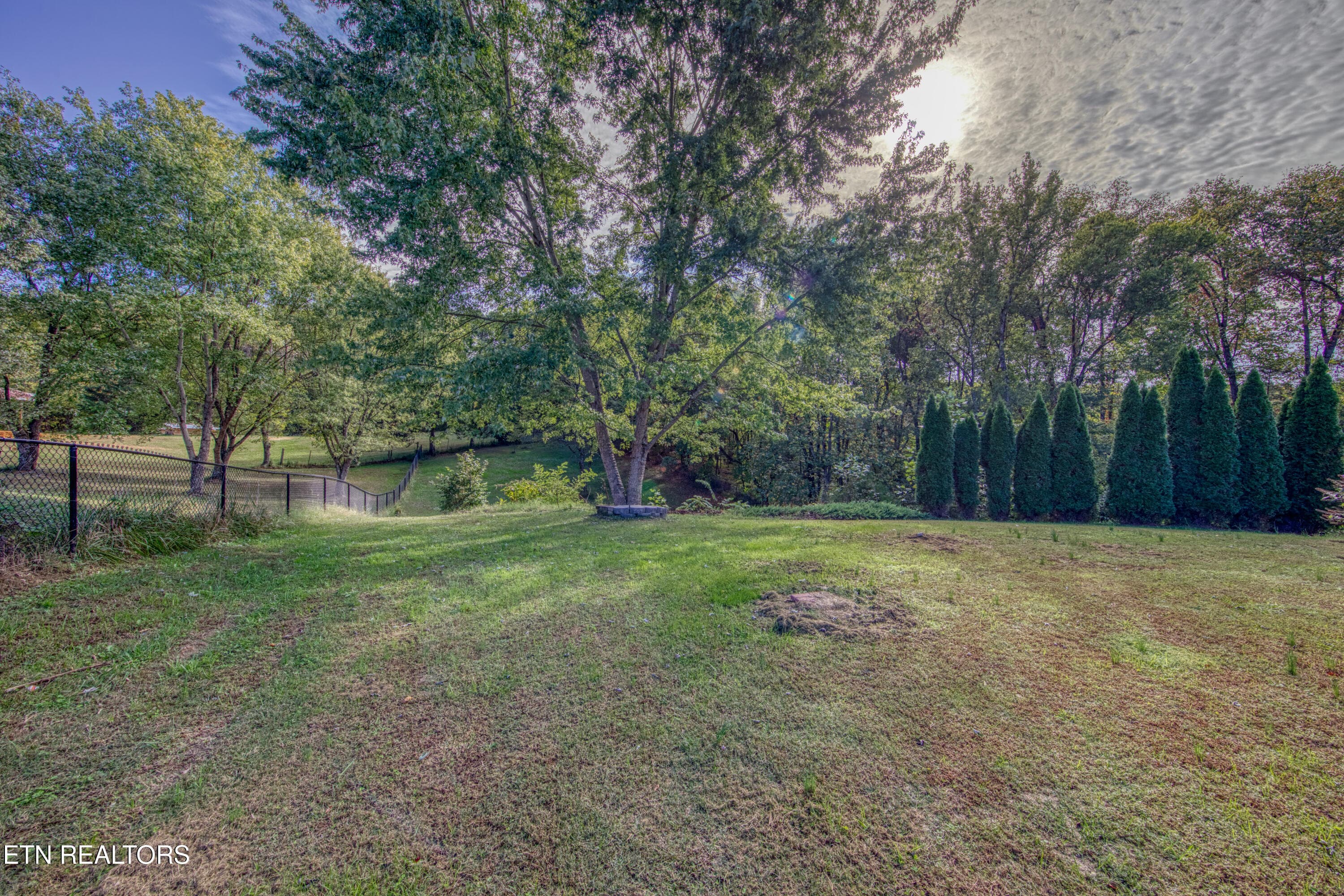 0H3A8203_56 - 1733 Oakdale Drive, Dandridge, TN 37725