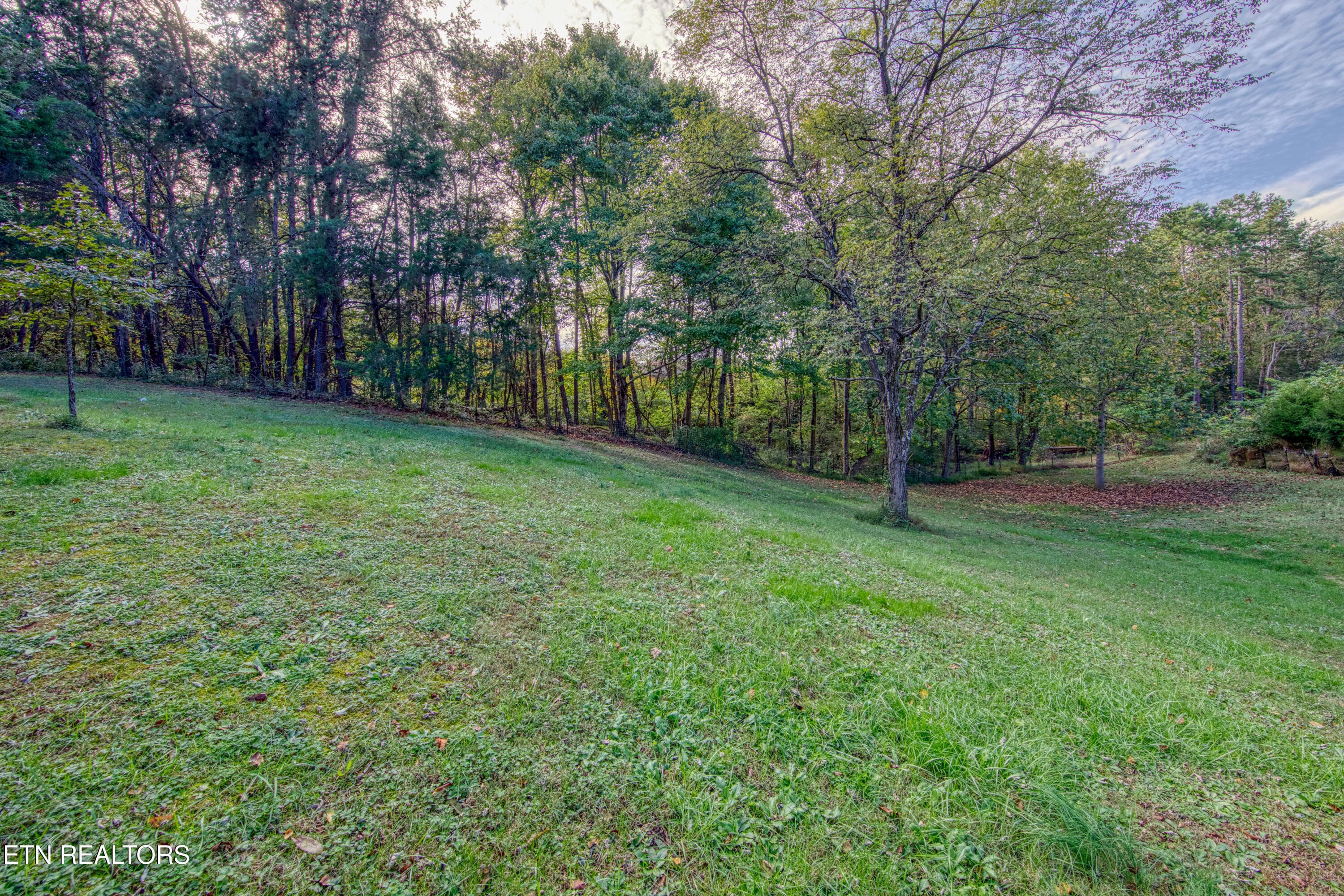 0H3A8210_58 - 1733 Oakdale Drive, Dandridge, TN 37725