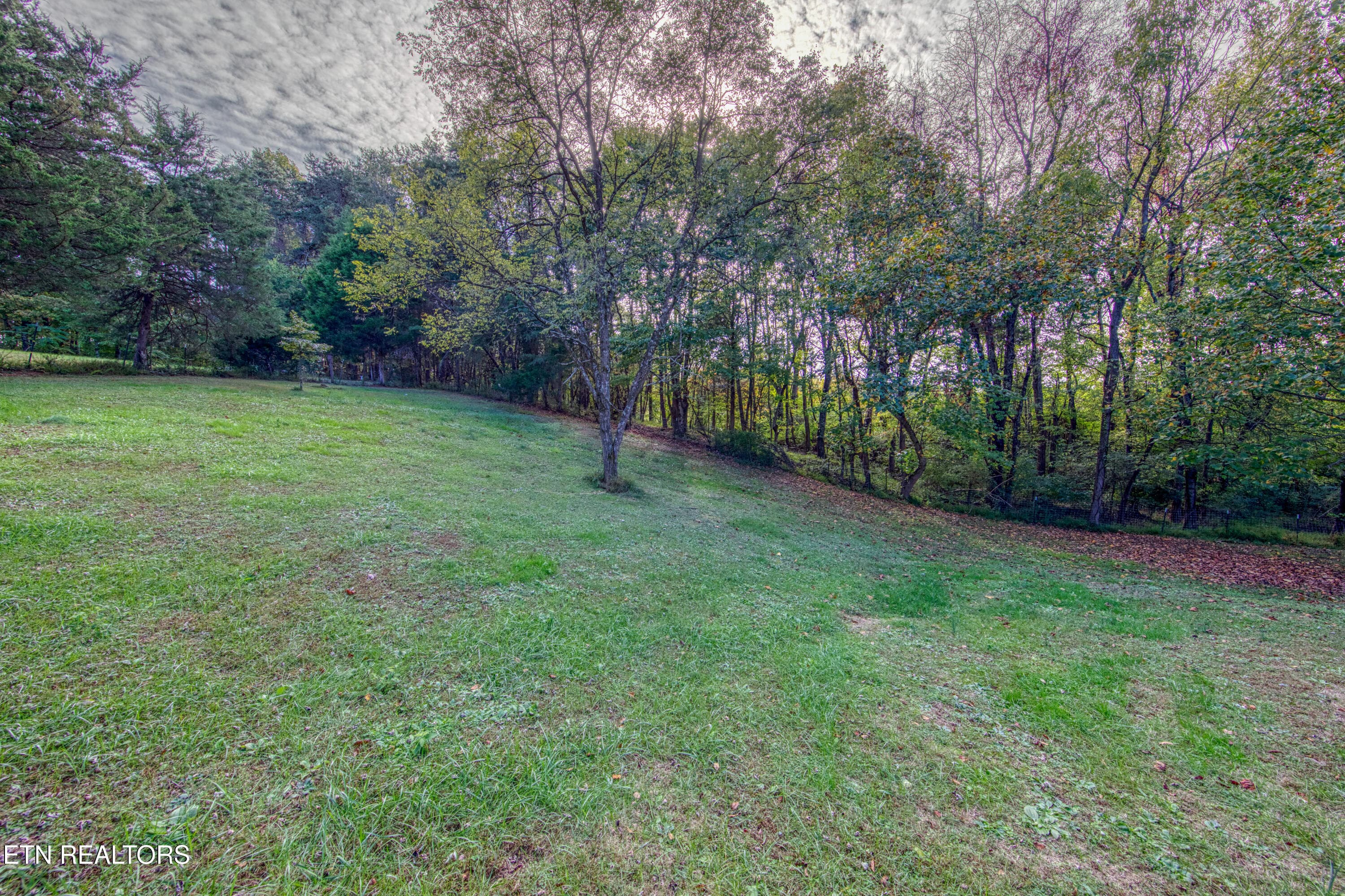 0H3A8214_59 - 1733 Oakdale Drive, Dandridge, TN 37725