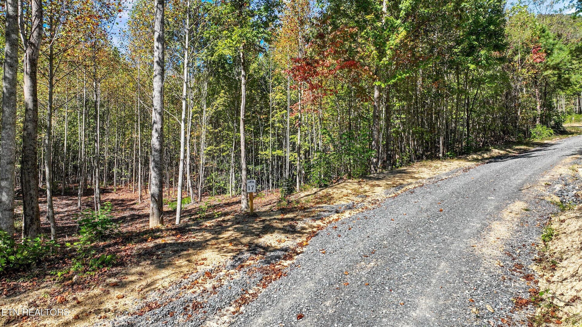 Lot 17 Smoky Mountain Overlook - 11.3 Acres Smoky Mountain Overlook Lot 17, Cosby, TN 37722