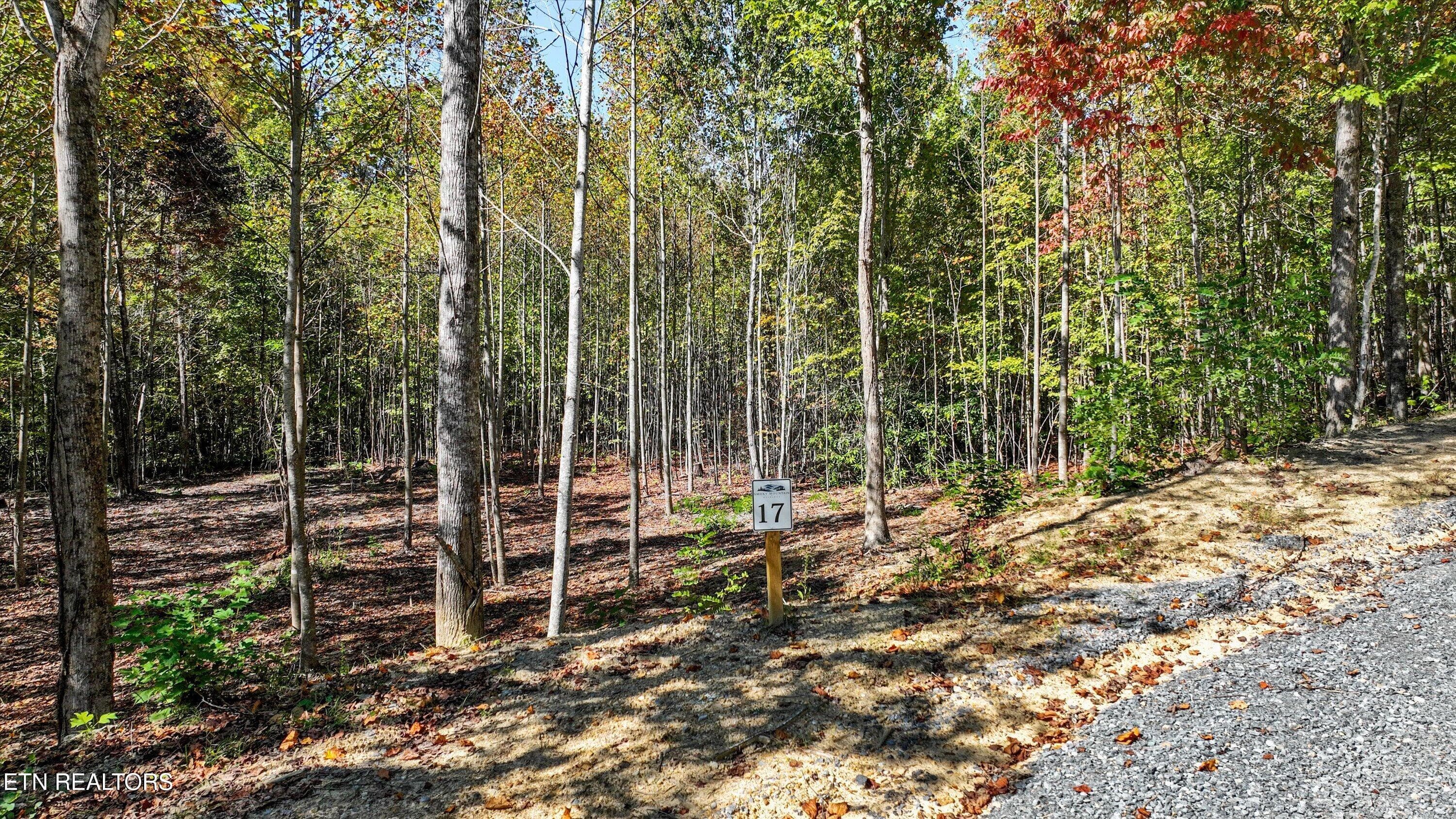 11.3 Acres Smoky Mountain Overlook Lot 17, Cosby, TN 37722