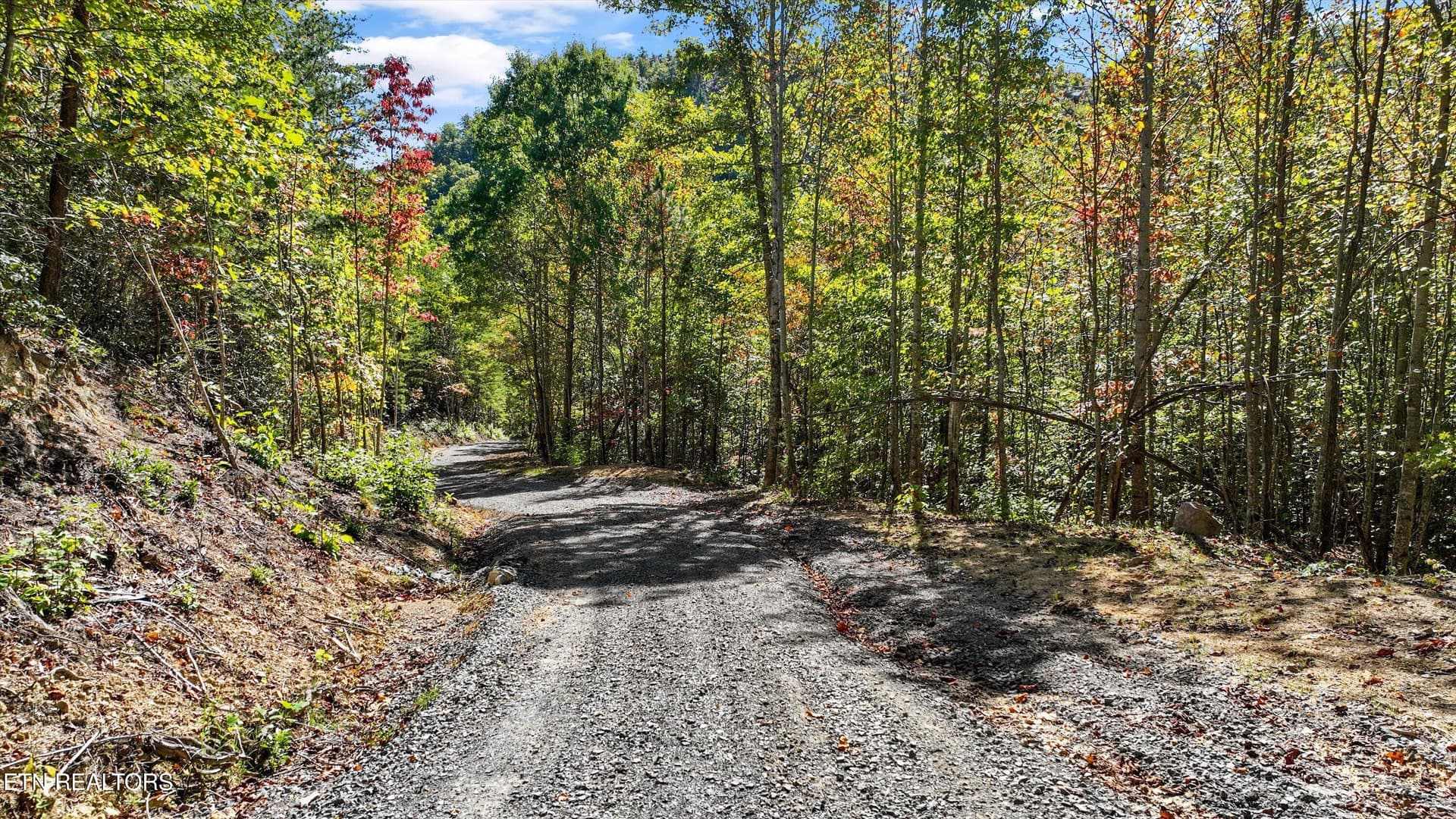 Lot 17 Smoky Mountain Overlook - 11.3 Acres Smoky Mountain Overlook Lot 17, Cosby, TN 37722