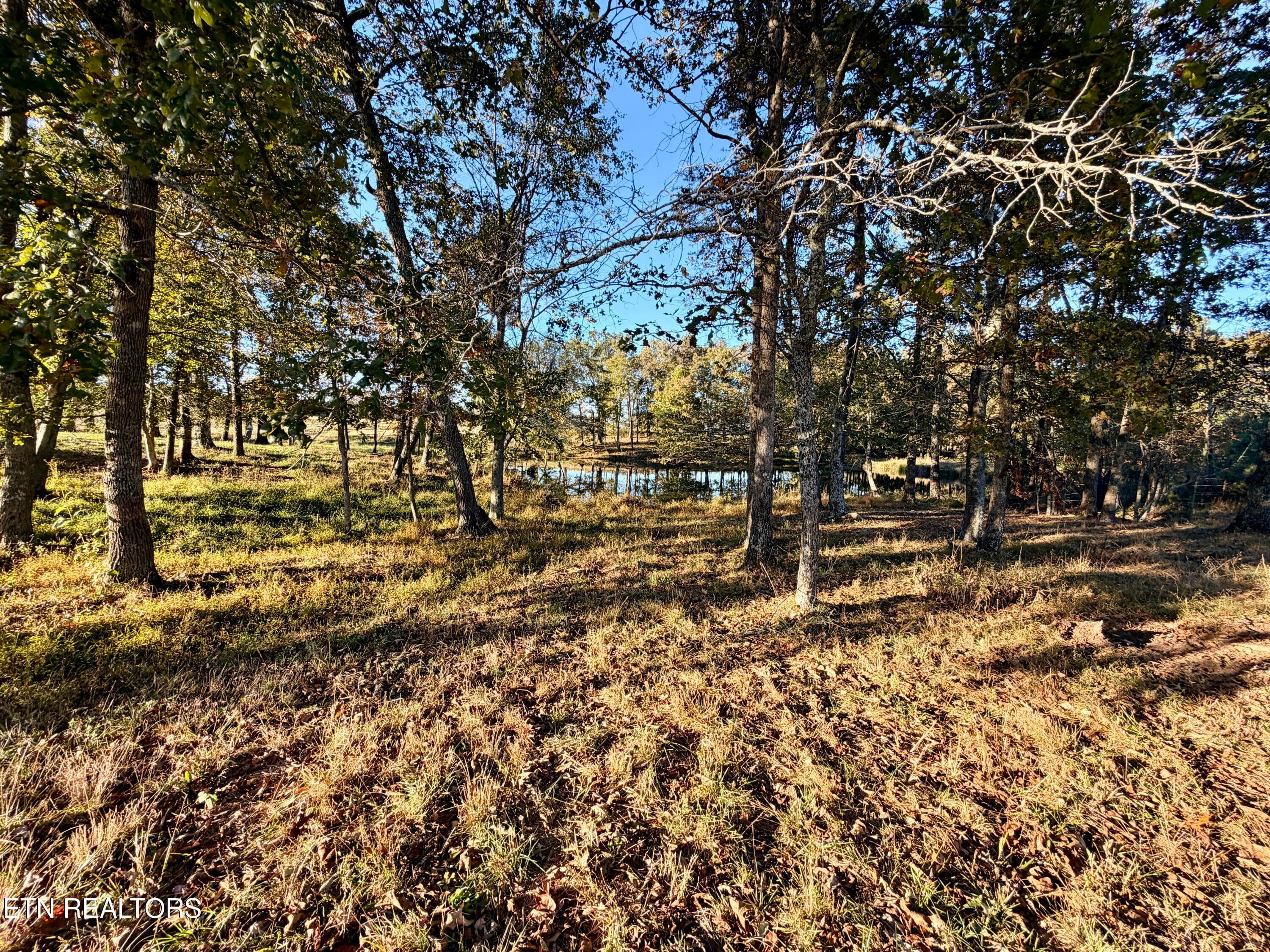 19 - Poke Patch Rd, Crossville, TN 38572