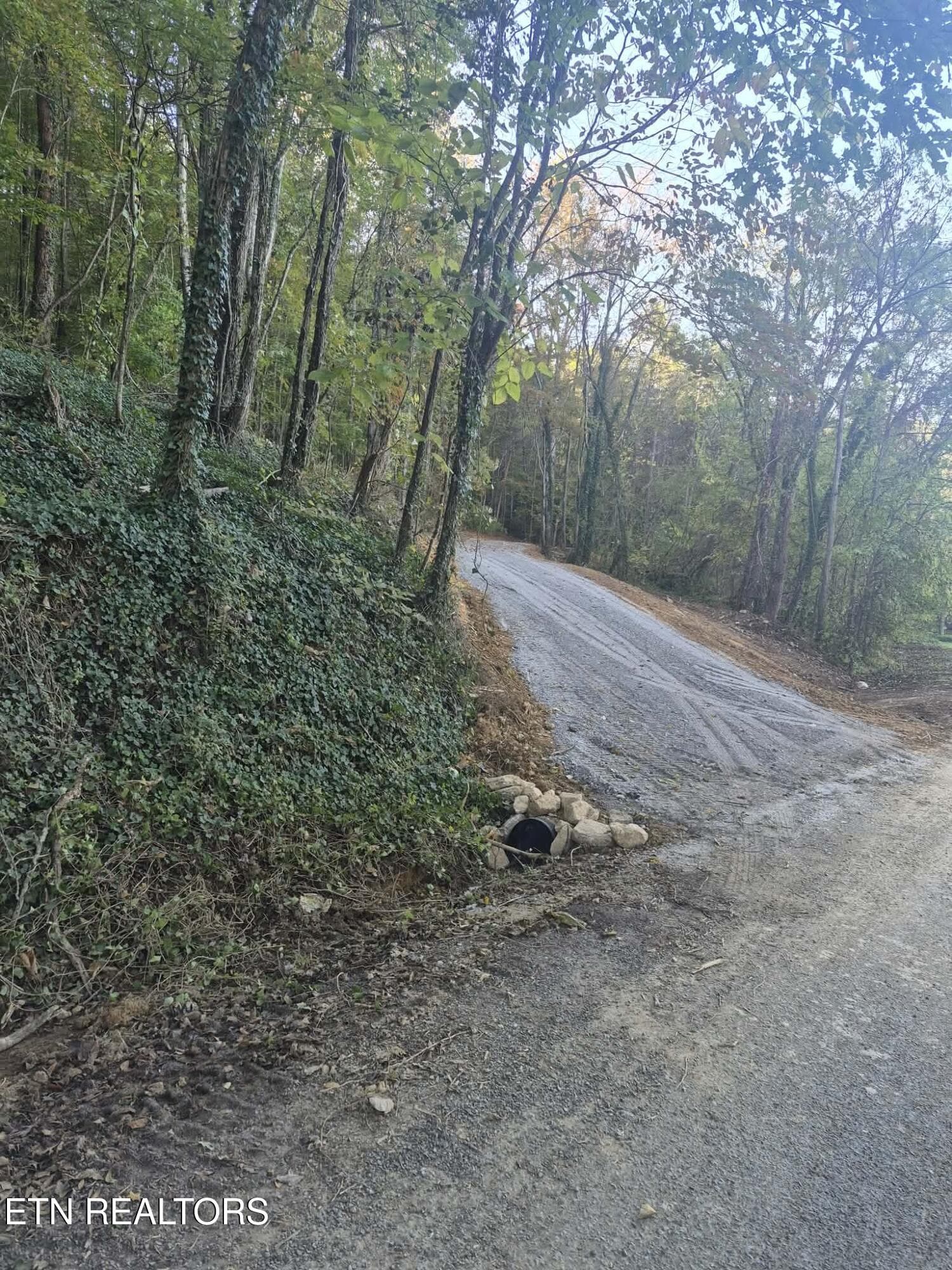 177 Martin Rd, Tellico Plains, TN 37385
