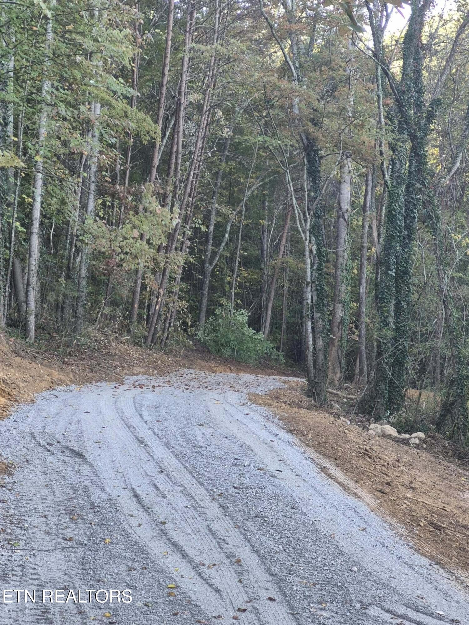 Coming up - 177 Martin Rd, Tellico Plains, TN 37385