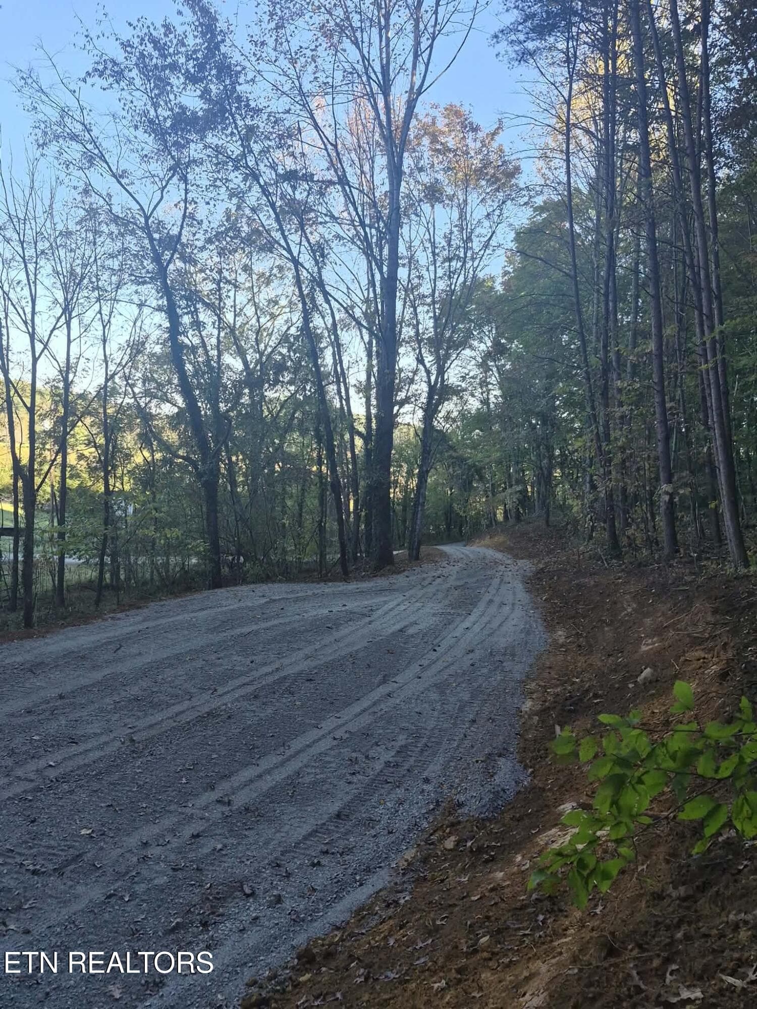Looking down driveway - 177 Martin Rd, Tellico Plains, TN 37385