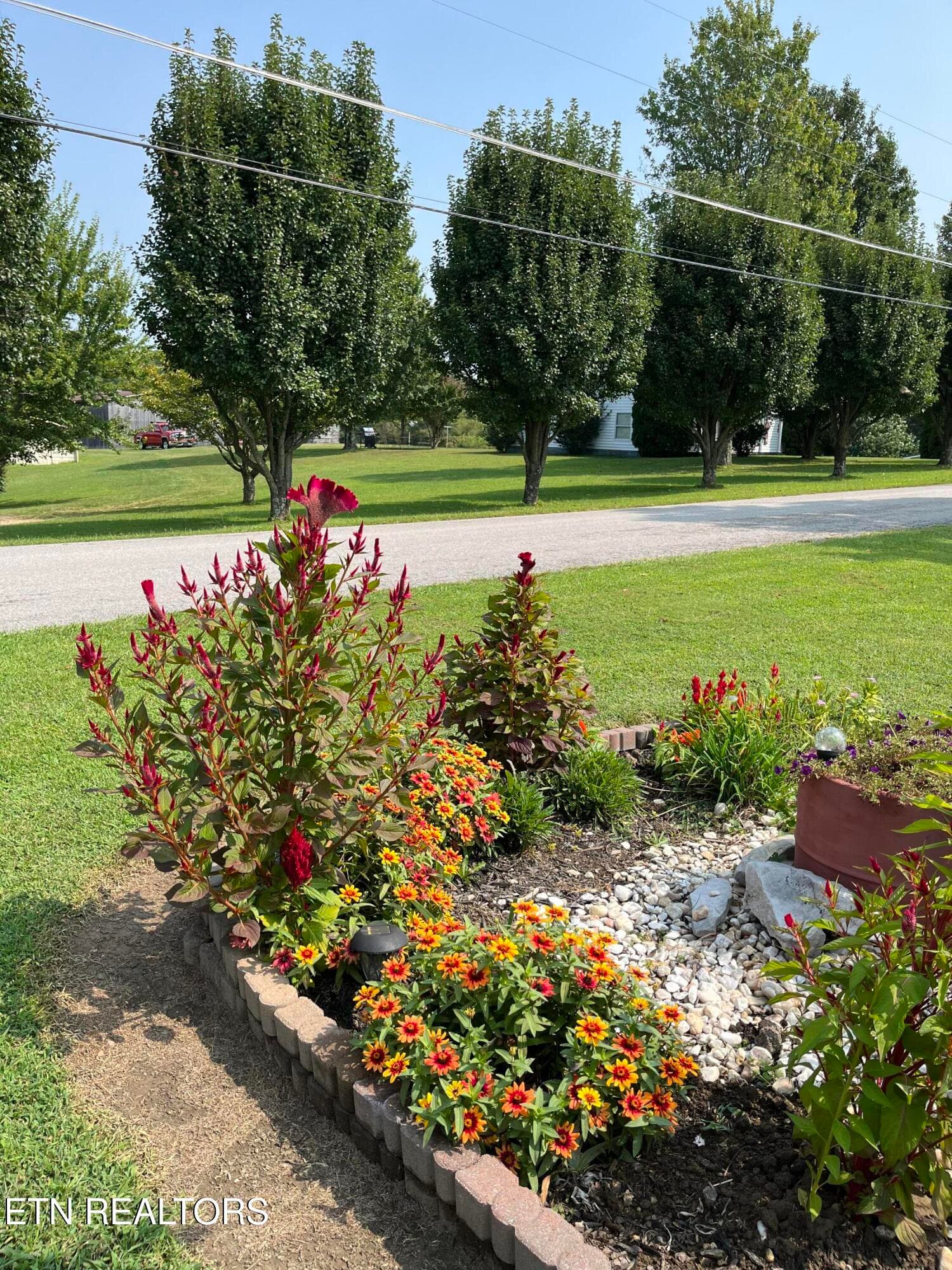 IMG_2290 - 841 Yellow Cliff Rd, Jamestown, TN 38556