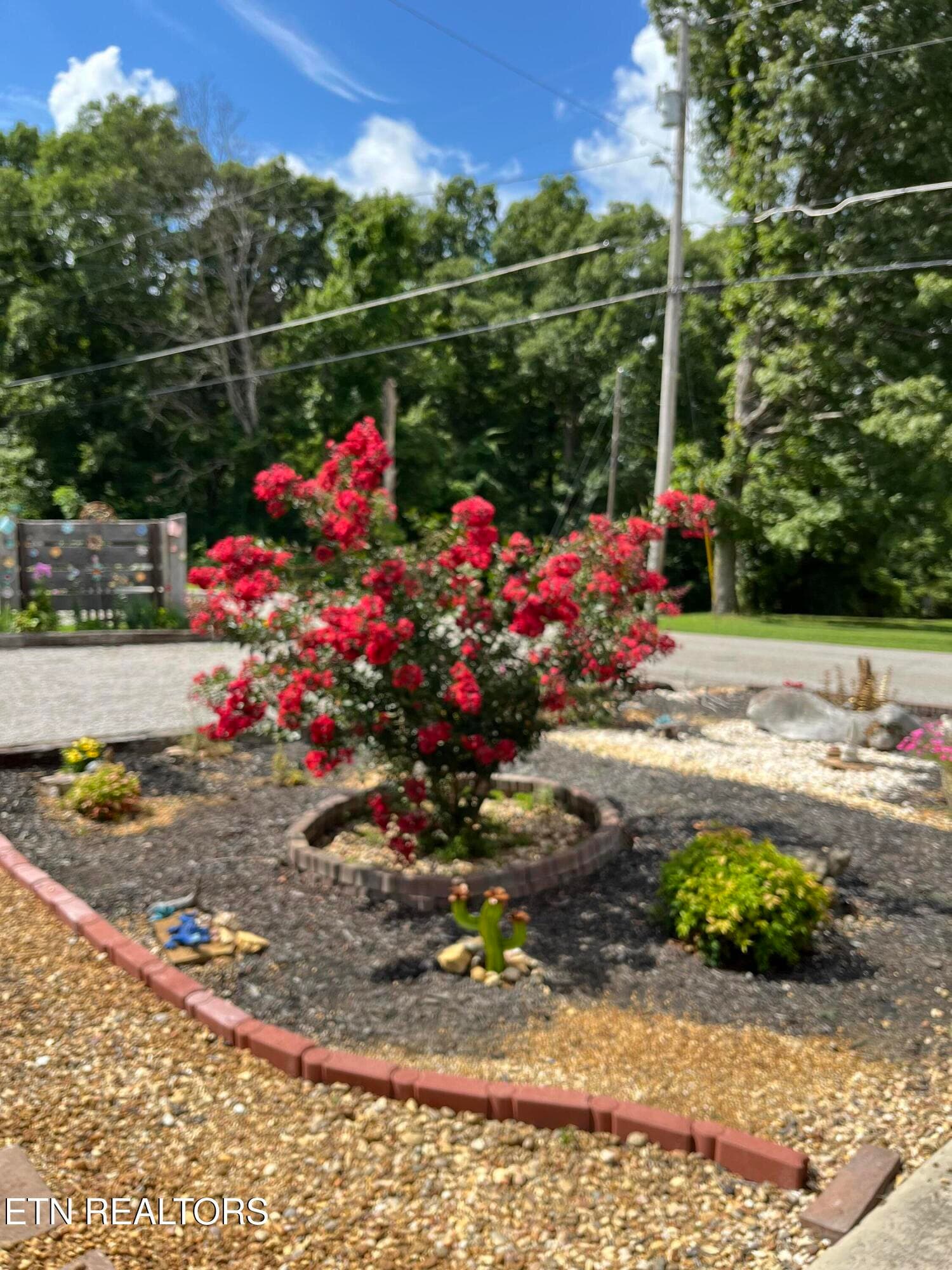 IMG_2234 - 841 Yellow Cliff Rd, Jamestown, TN 38556