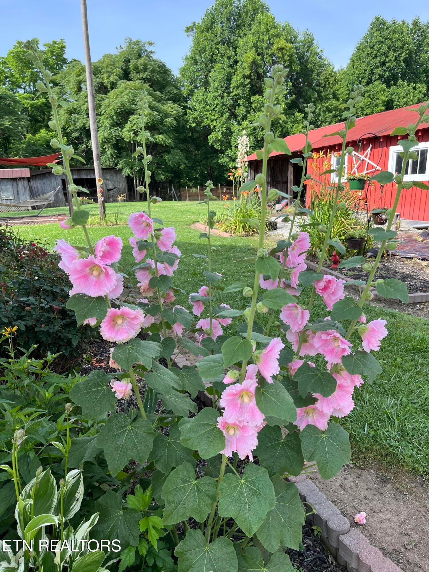 IMG_2045 - 841 Yellow Cliff Rd, Jamestown, TN 38556