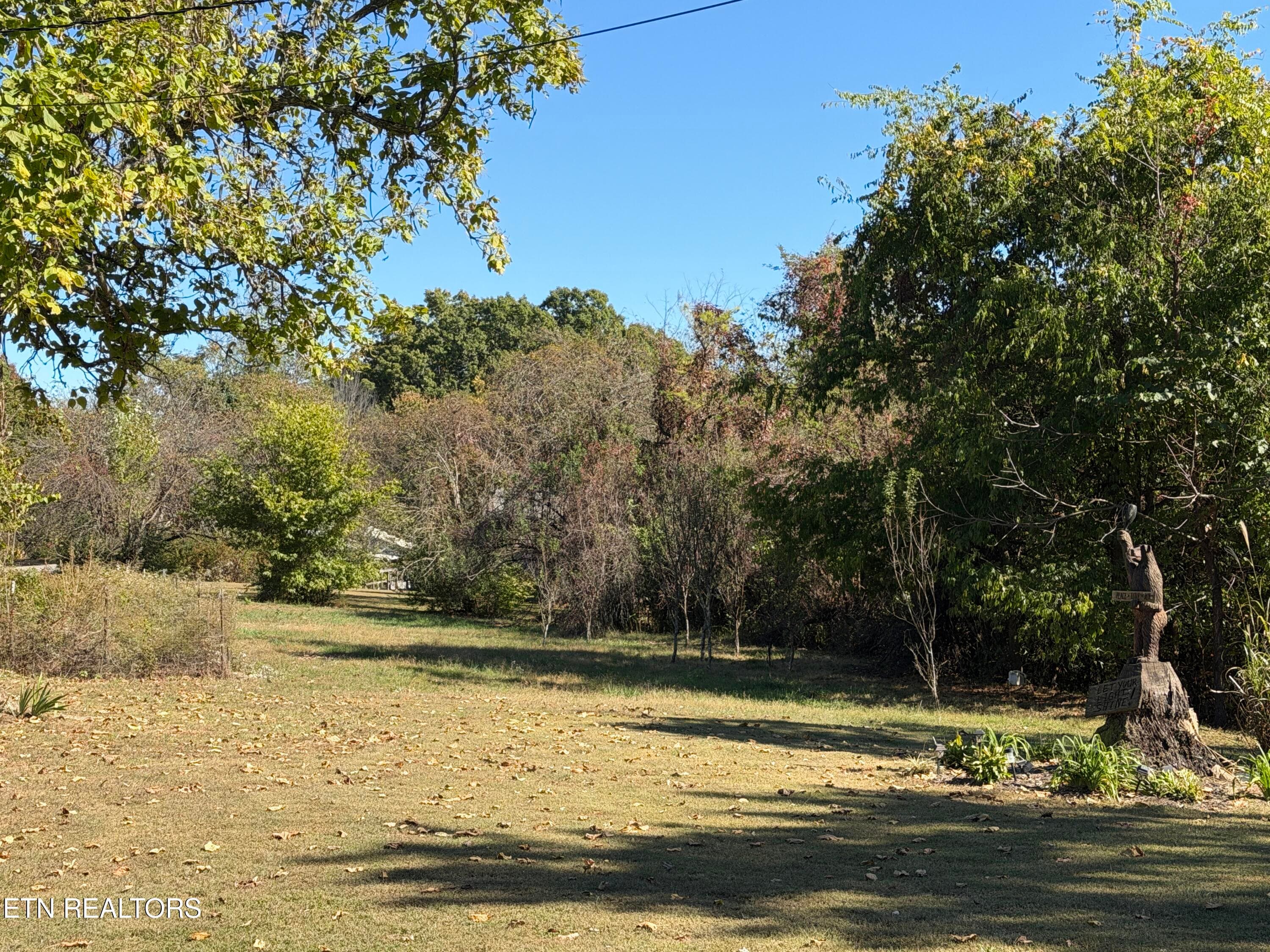 IMG_1911 - 841 Yellow Cliff Rd, Jamestown, TN 38556