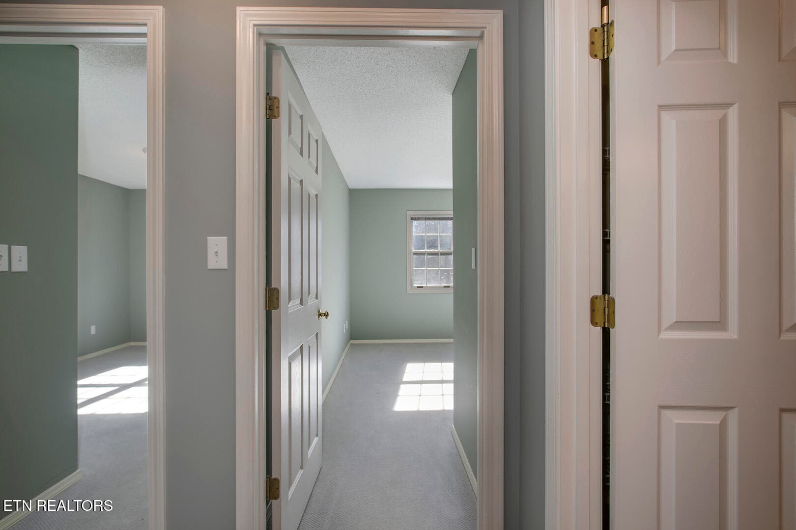 34_223 Chatuga Way_LowerBedroomEntries - 223 Chatuga Way, Loudon, TN 37774