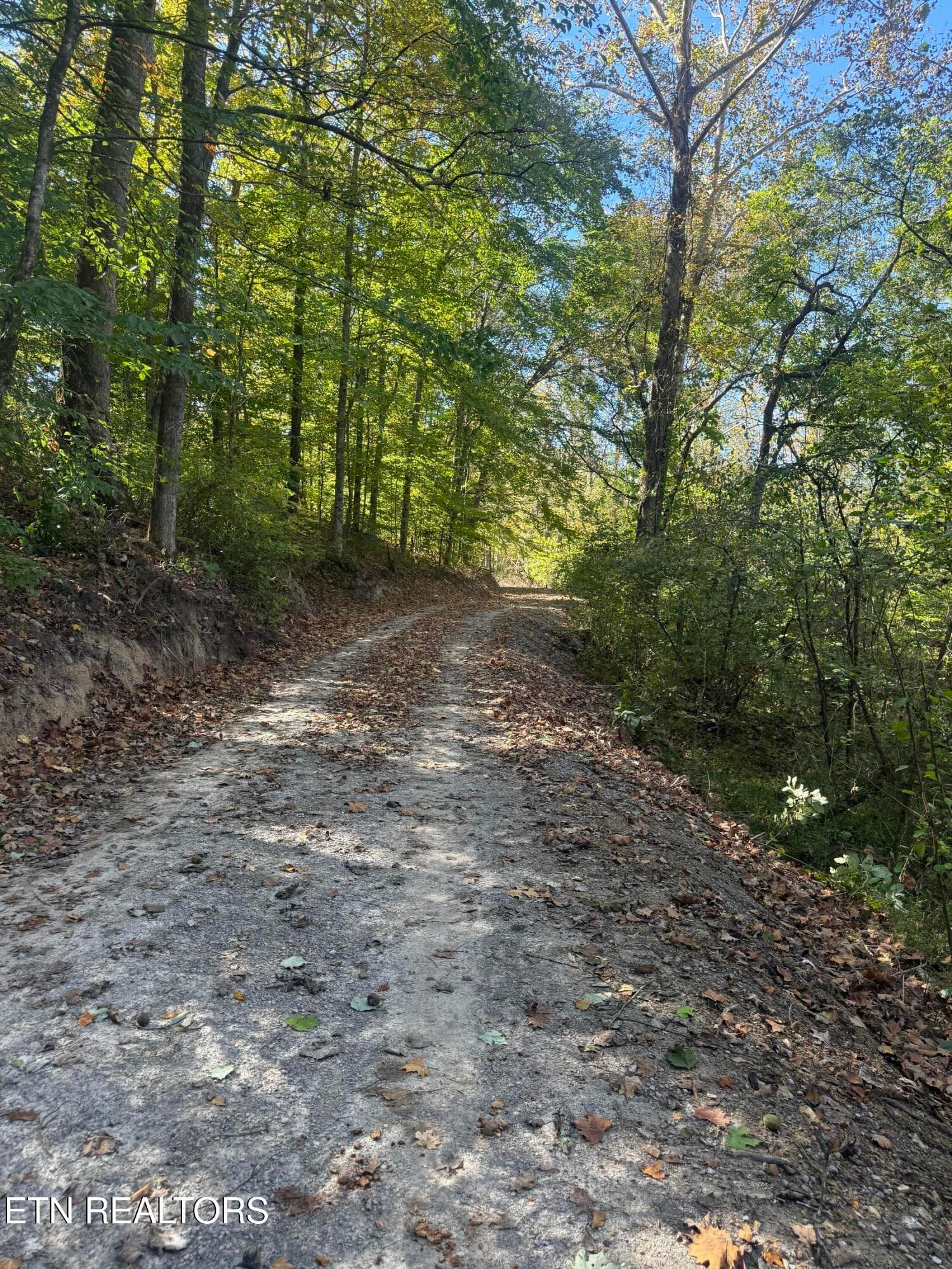 IMG_2376 - 189 Irwin Salyers Lane, LaFollette, TN 37766