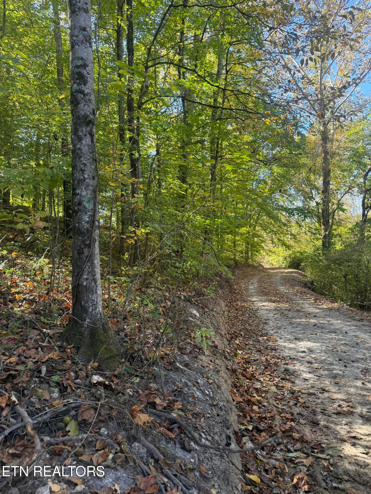 IMG_2375 - 189 Irwin Salyers Lane, LaFollette, TN 37766