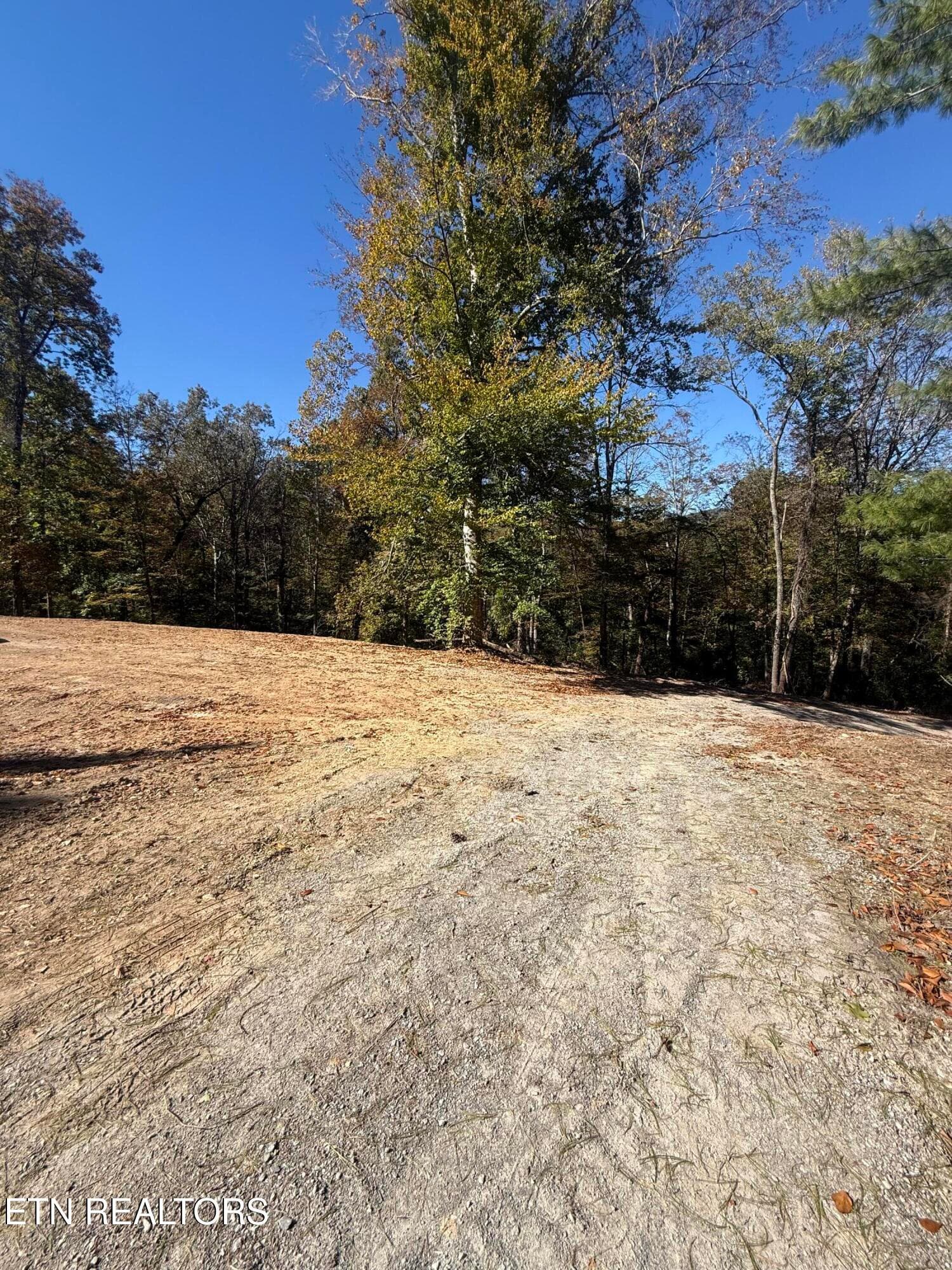 IMG_2367 - 189 Irwin Salyers Lane, LaFollette, TN 37766