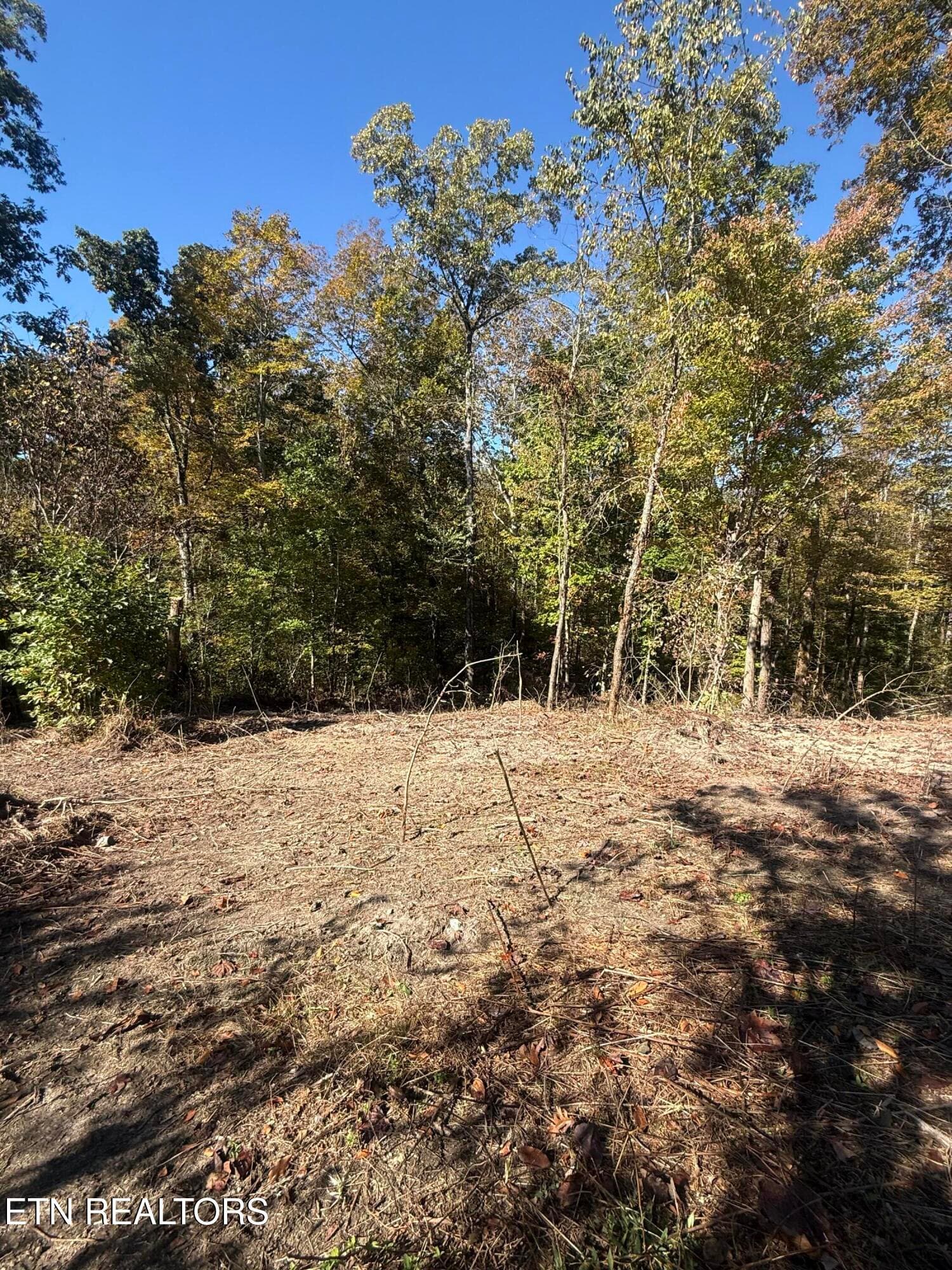 IMG_2339 - 189 Irwin Salyers Lane, LaFollette, TN 37766
