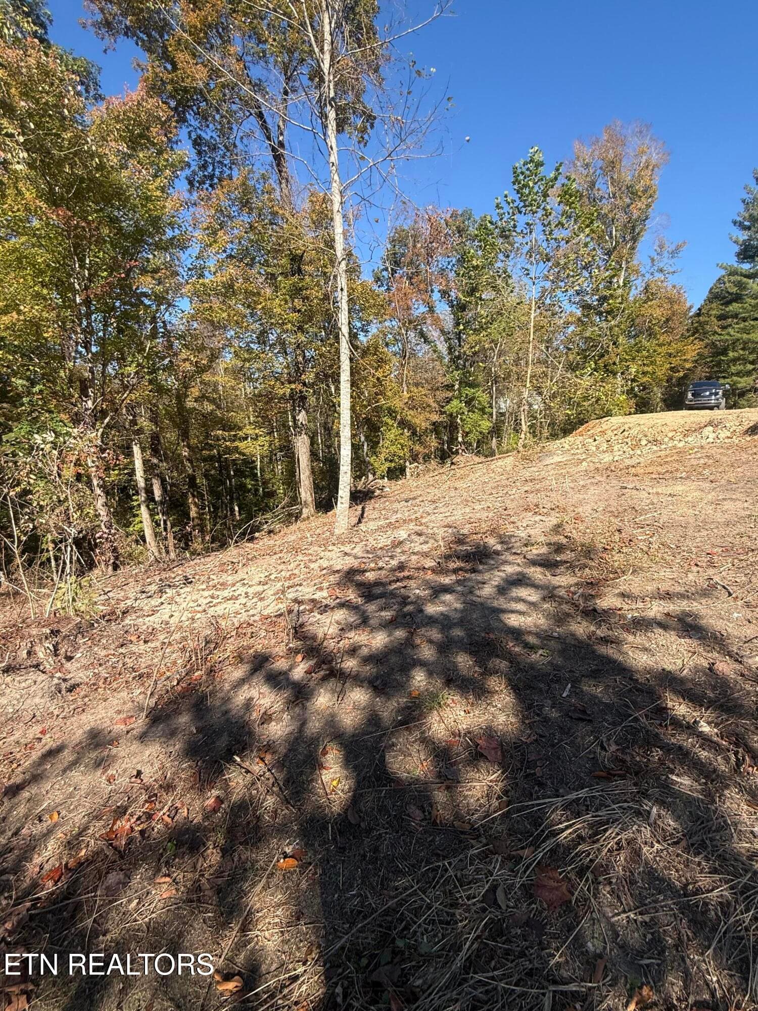 IMG_2340 - 189 Irwin Salyers Lane, LaFollette, TN 37766