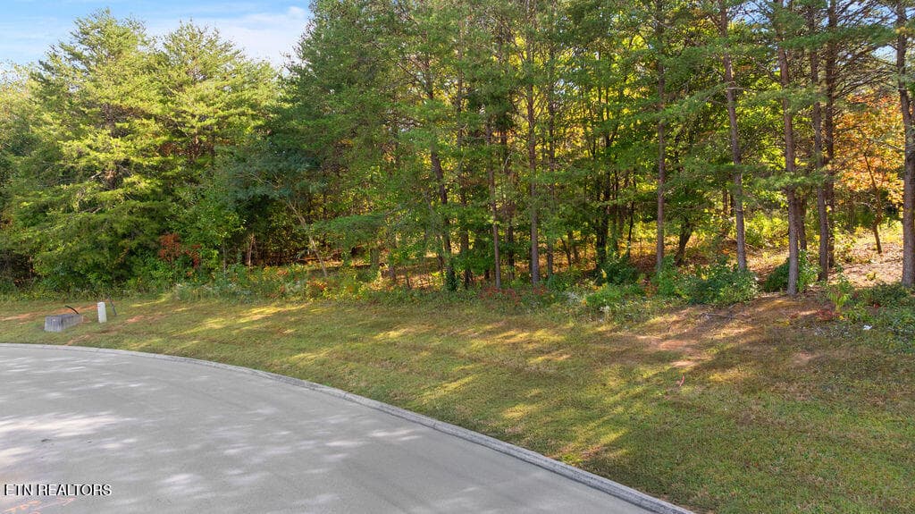 Red Wing Drive, Vonore, TN 37885
