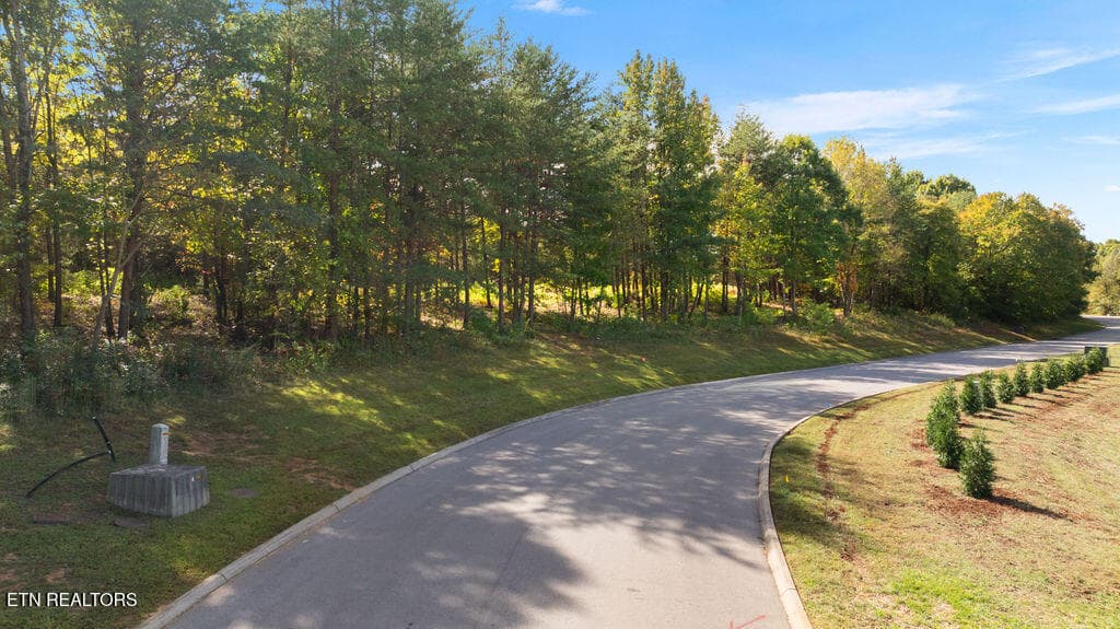 DJI_0854 - Red Wing Drive, Vonore, TN 37885