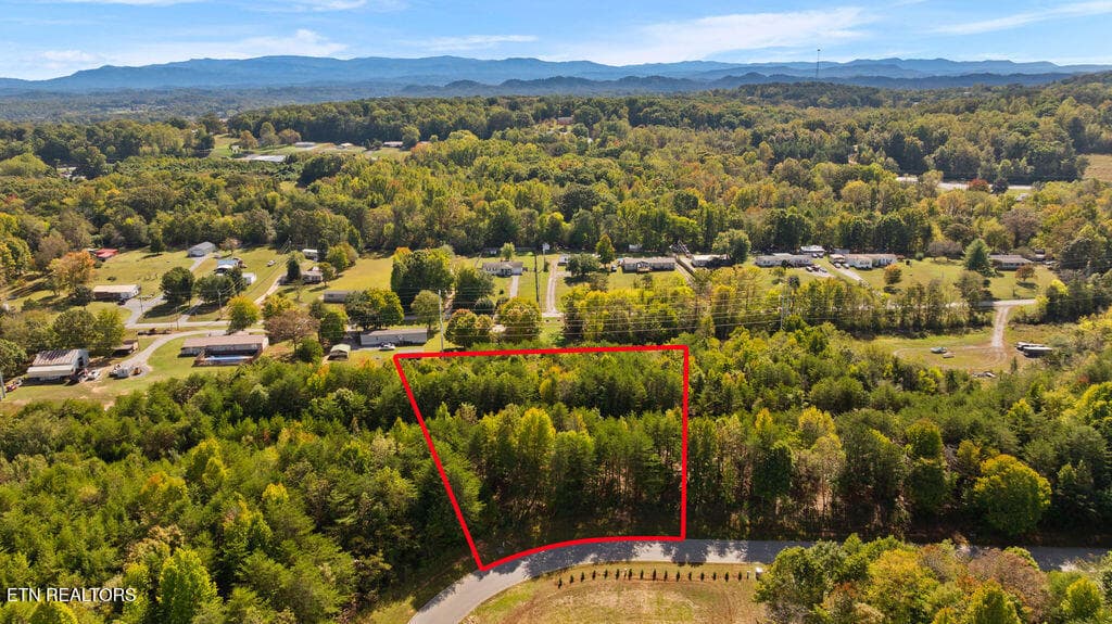 DJI_0899 - Red Wing Drive, Vonore, TN 37885