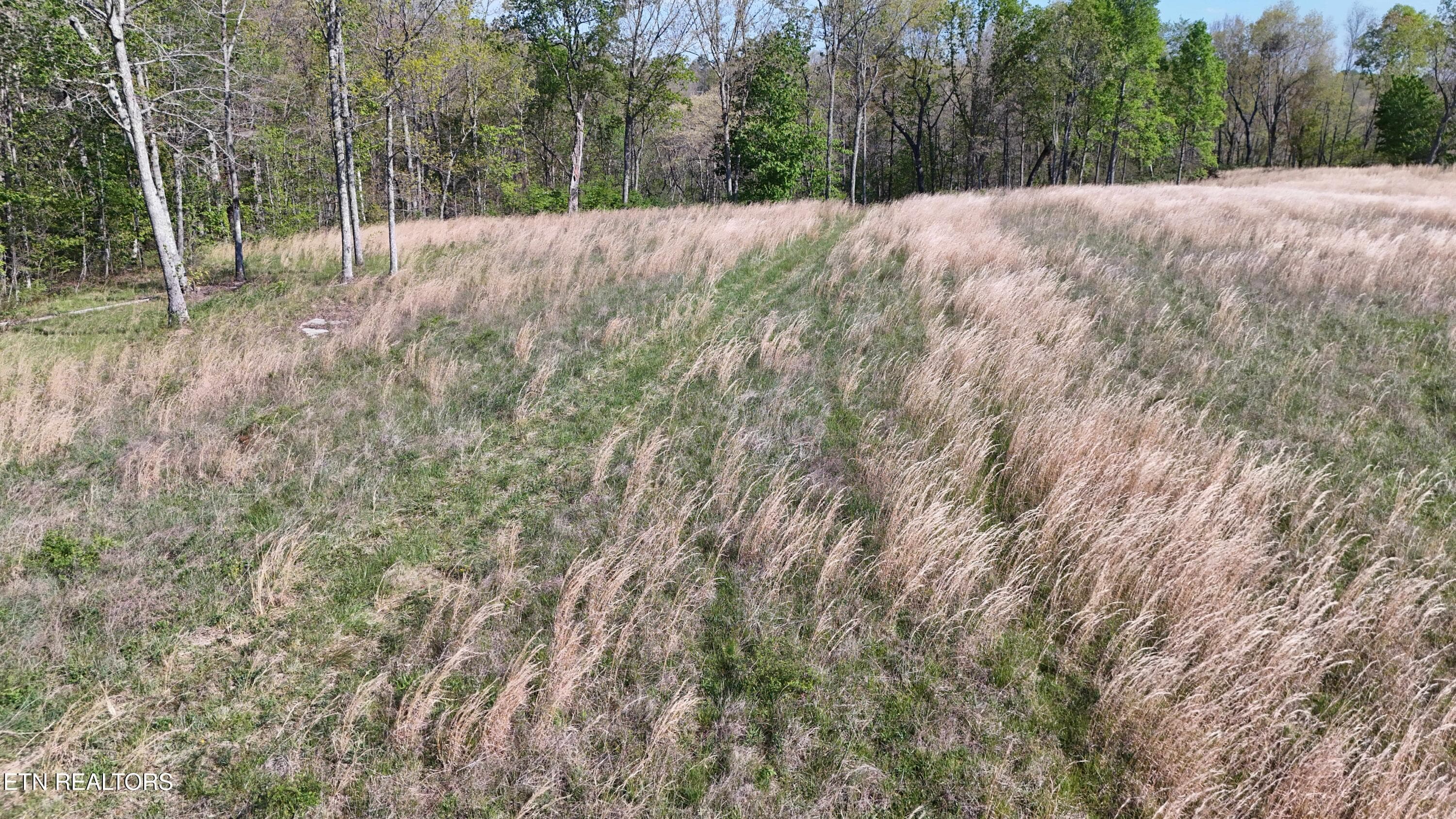 Clarkrange TN -- 1 - 7.08ac Hollow Creek Lane, Clarkrange, TN 38553