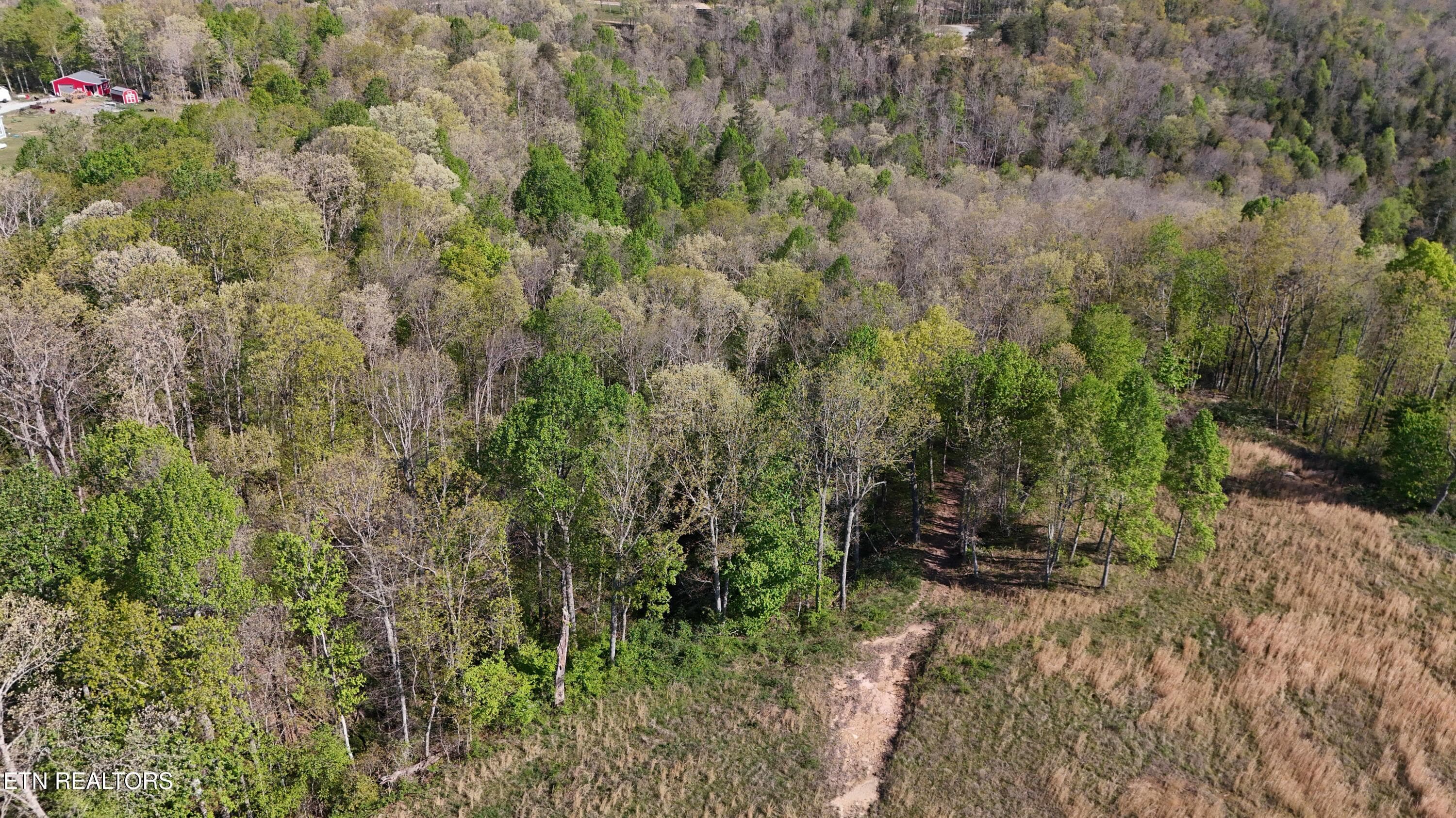 Clarkrange TN -- 3 - 7.08ac Hollow Creek Lane, Clarkrange, TN 38553