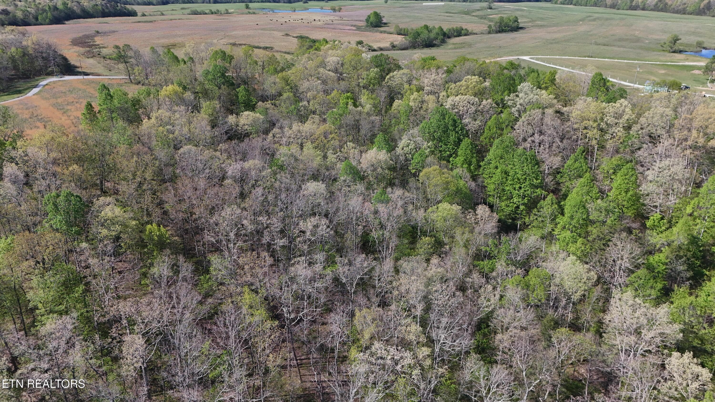 Clarkrange TN -- 5 - 7.08ac Hollow Creek Lane, Clarkrange, TN 38553