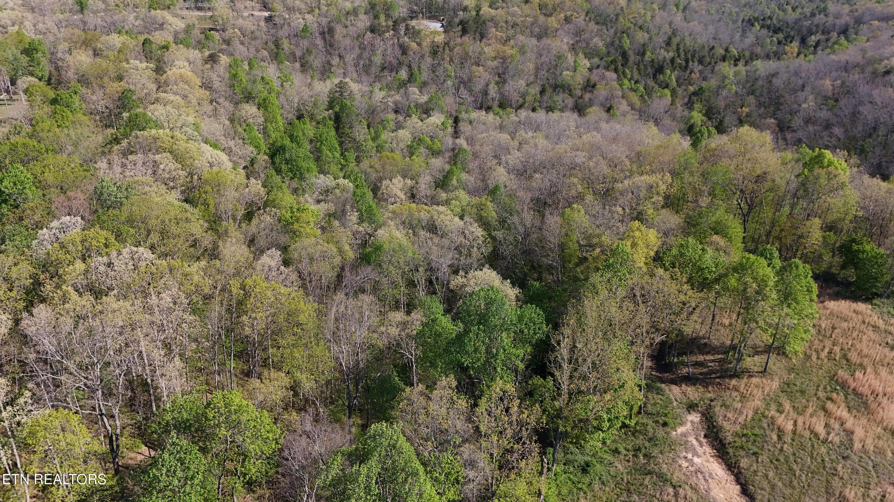 Clarkrange TN -- 6 - 7.08ac Hollow Creek Lane, Clarkrange, TN 38553