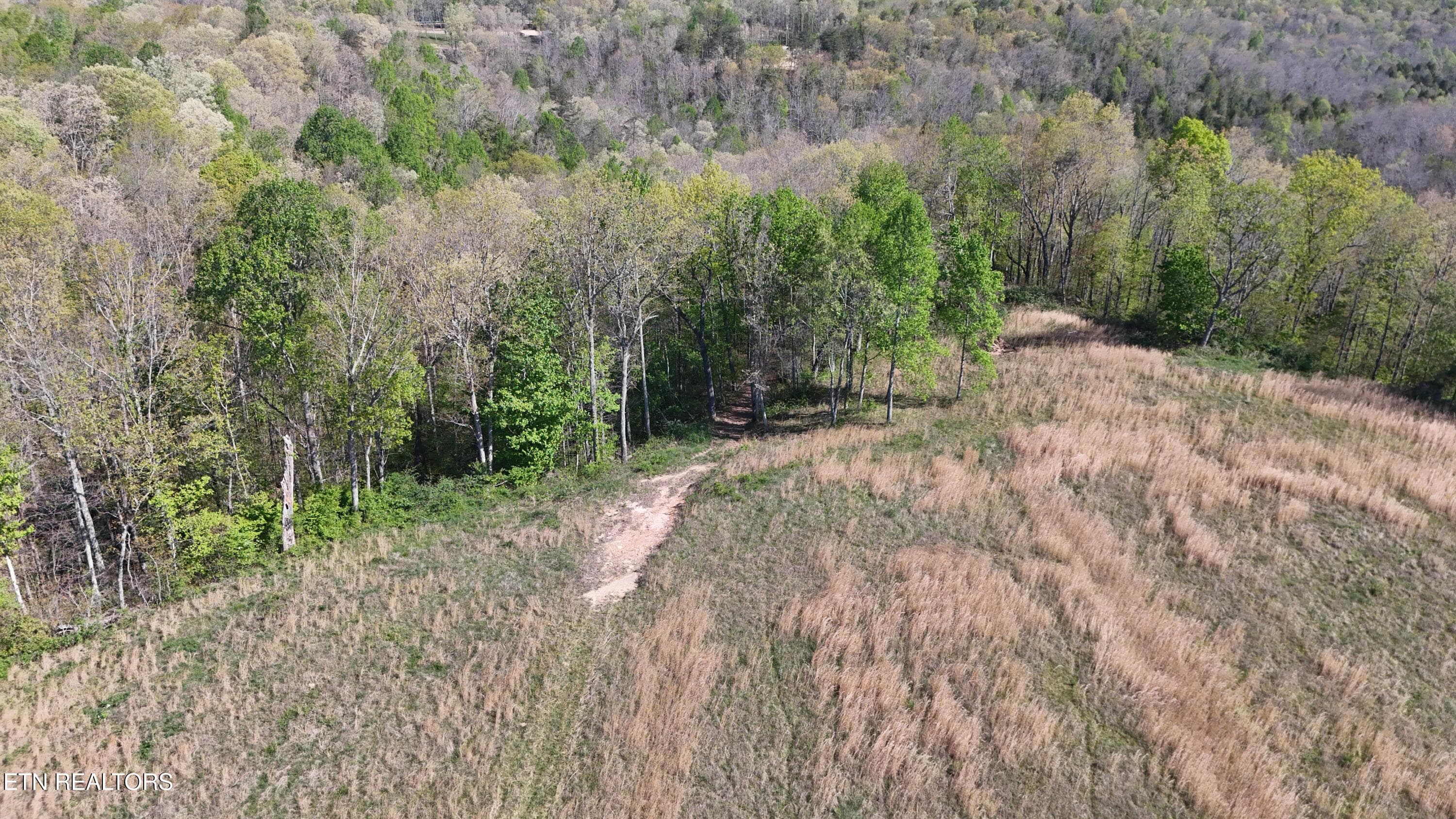 Clarkrange TN -- 8 - 7.08ac Hollow Creek Lane, Clarkrange, TN 38553