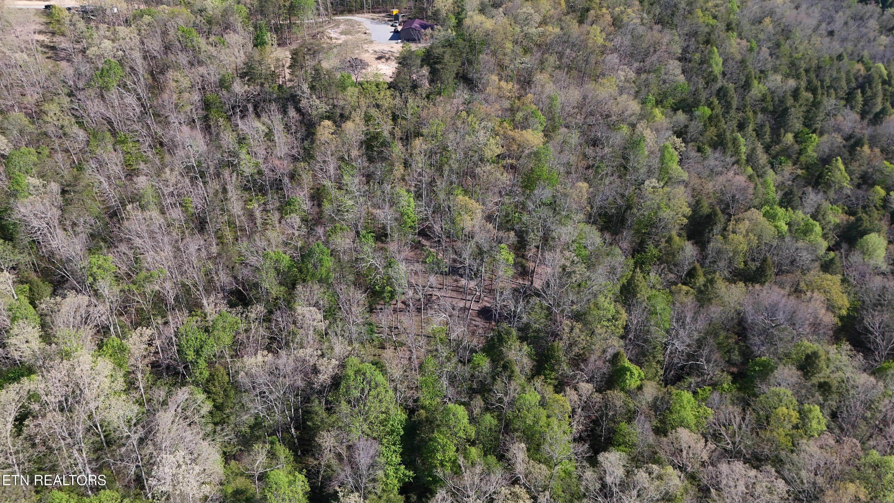 Clarkrange TN -- 11 - 7.08ac Hollow Creek Lane, Clarkrange, TN 38553