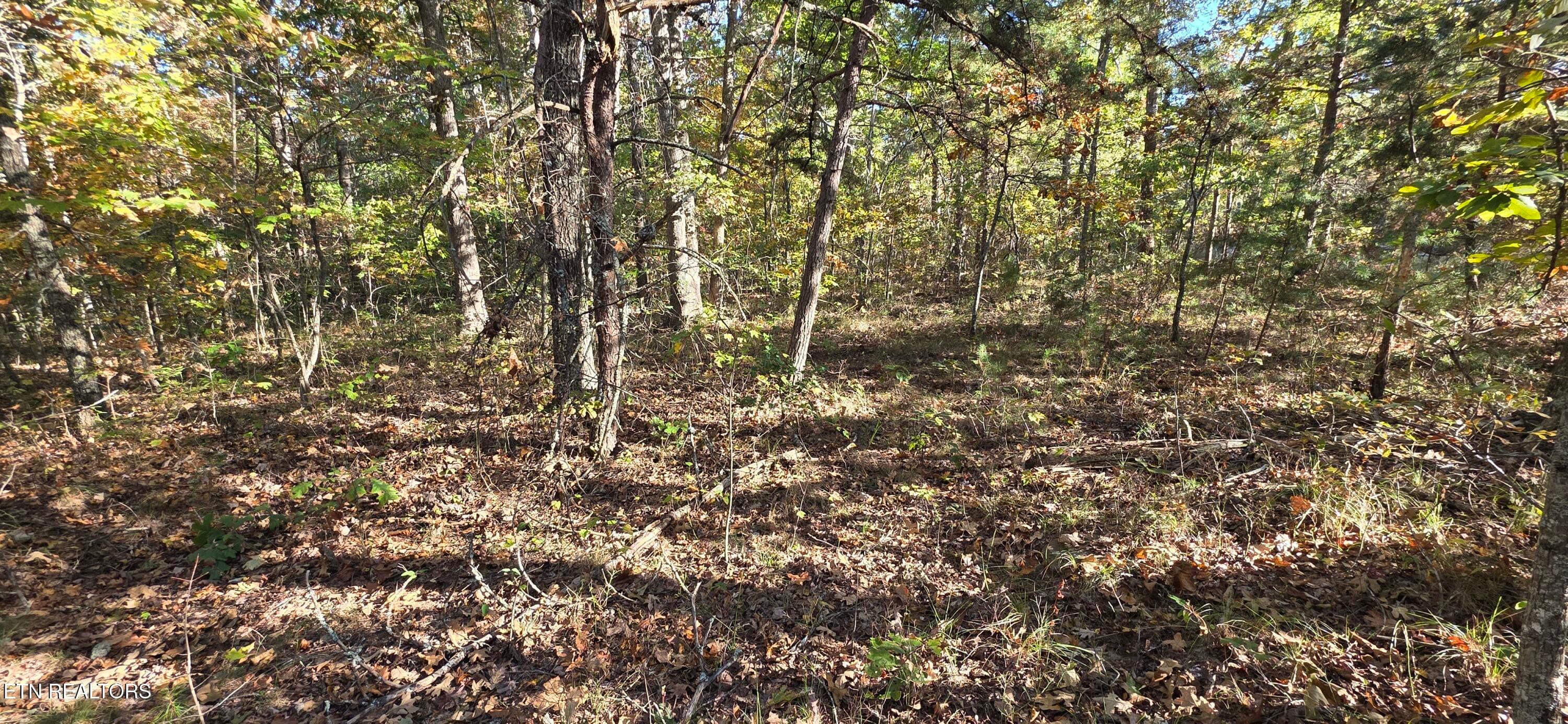 1 Thistle Rd, Monterey, TN 38574