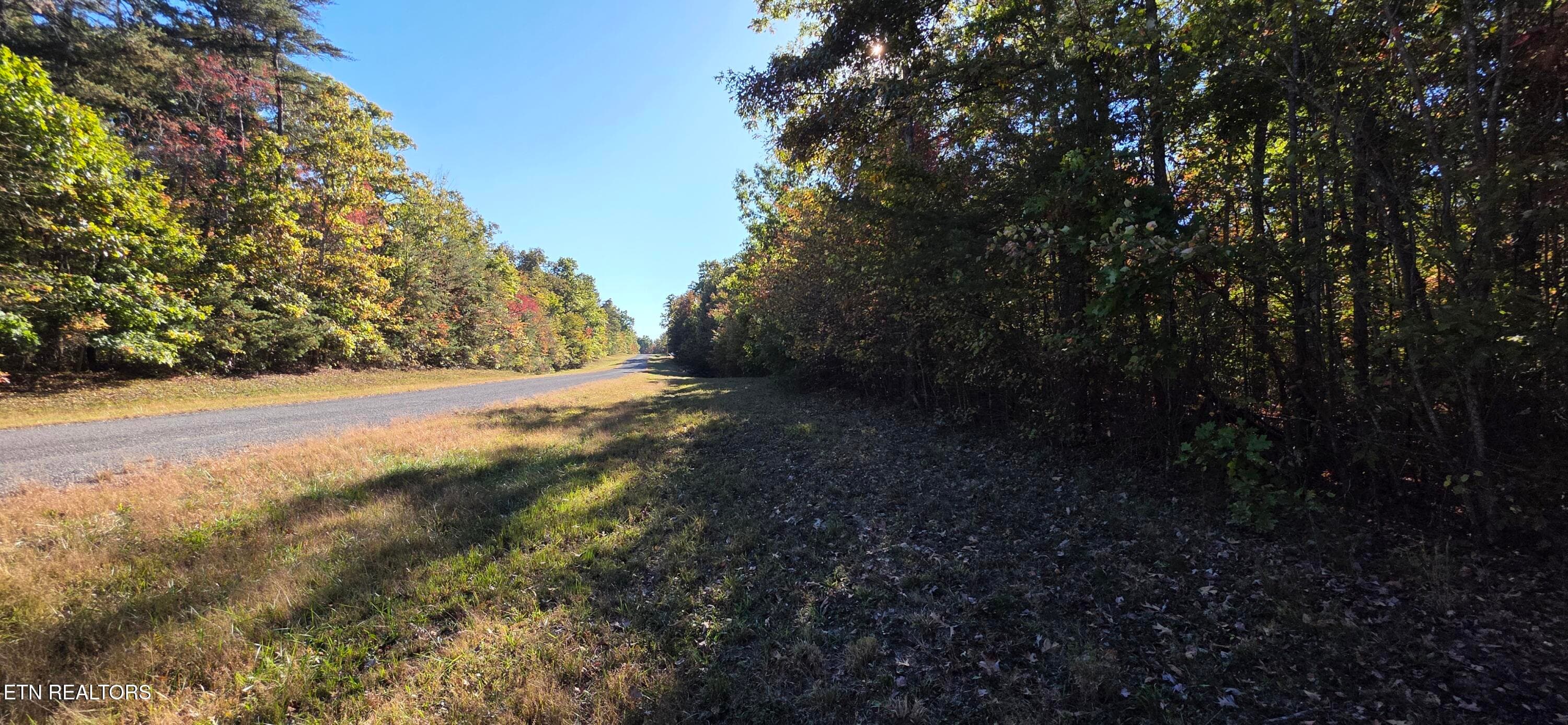 1000024284 - 4 Austin Drive, Monterey, TN 38574