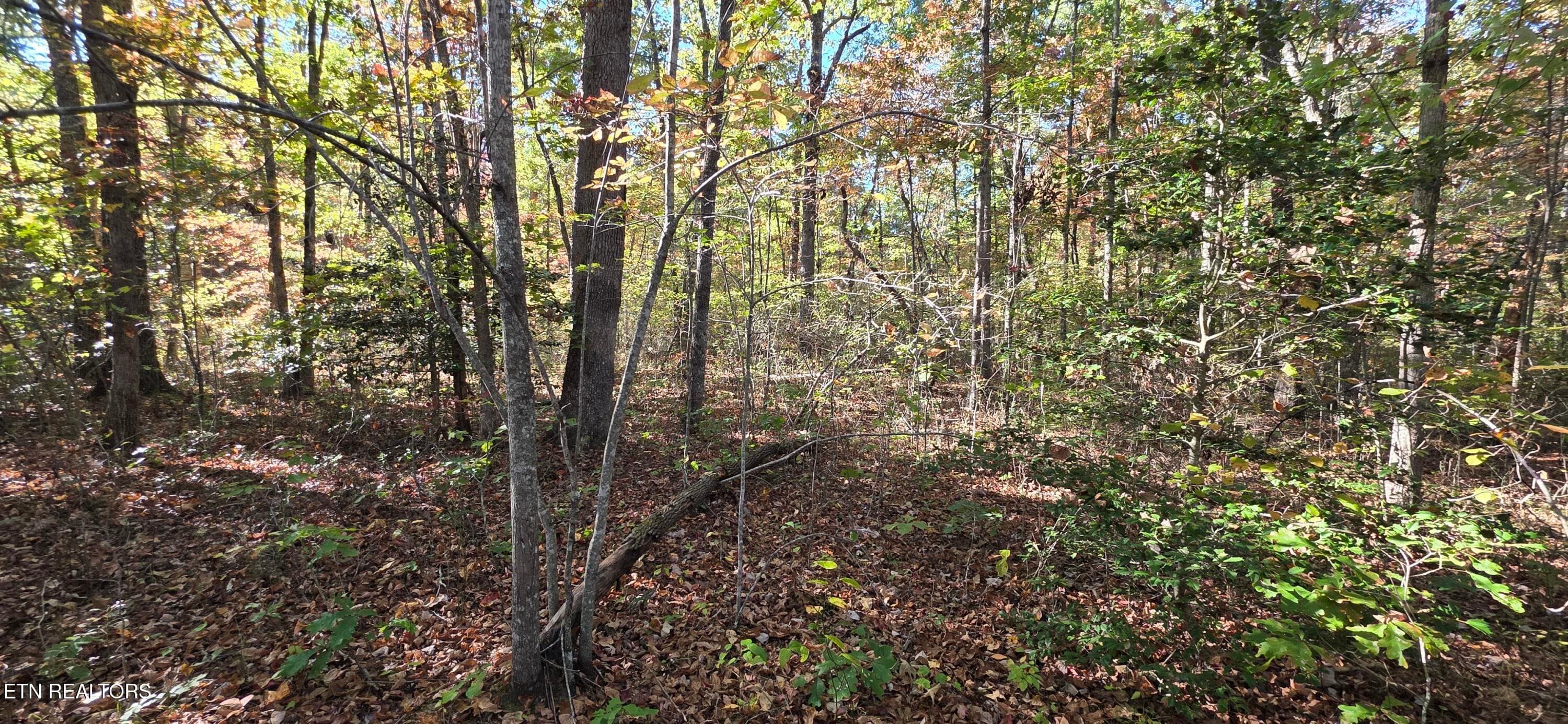 1000024286 - 4 Austin Drive, Monterey, TN 38574