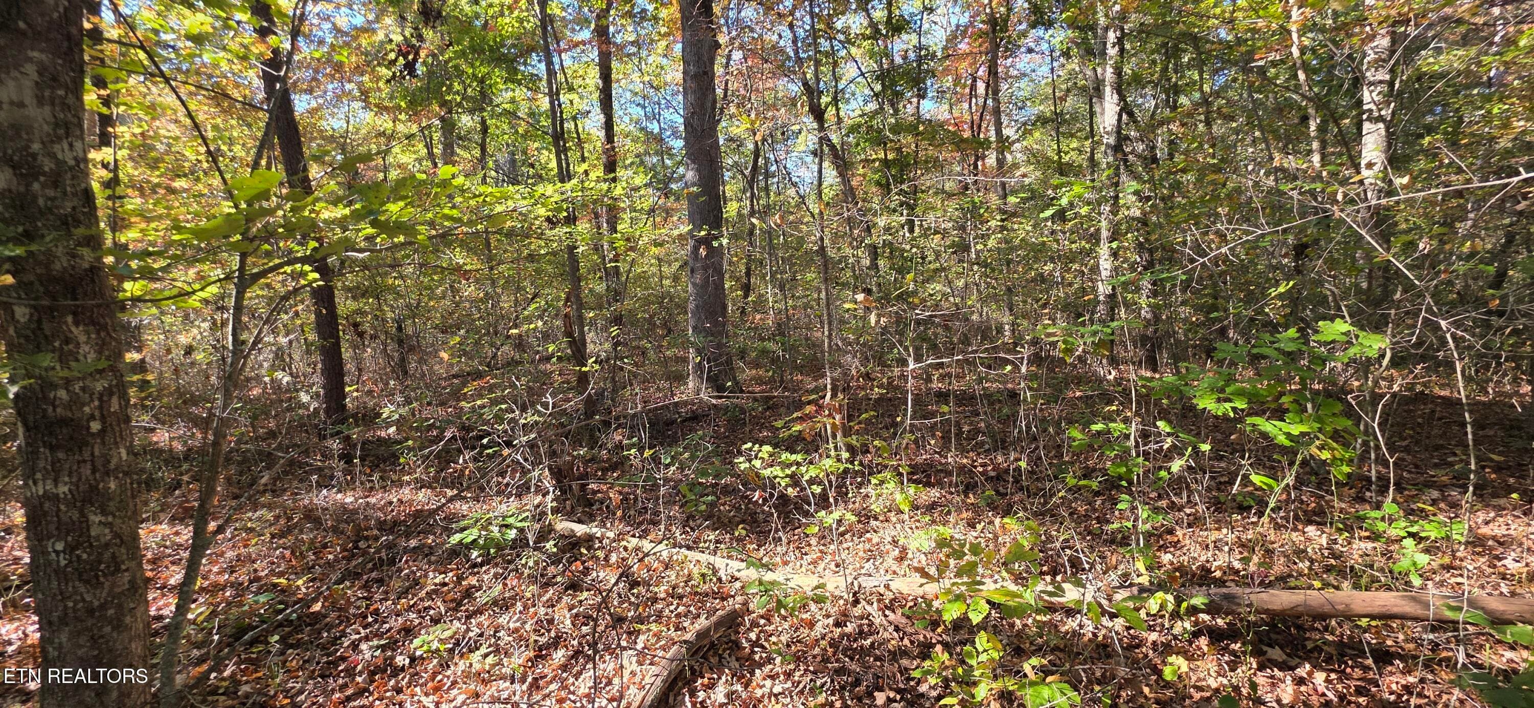 1000024287 - 4 Austin Drive, Monterey, TN 38574