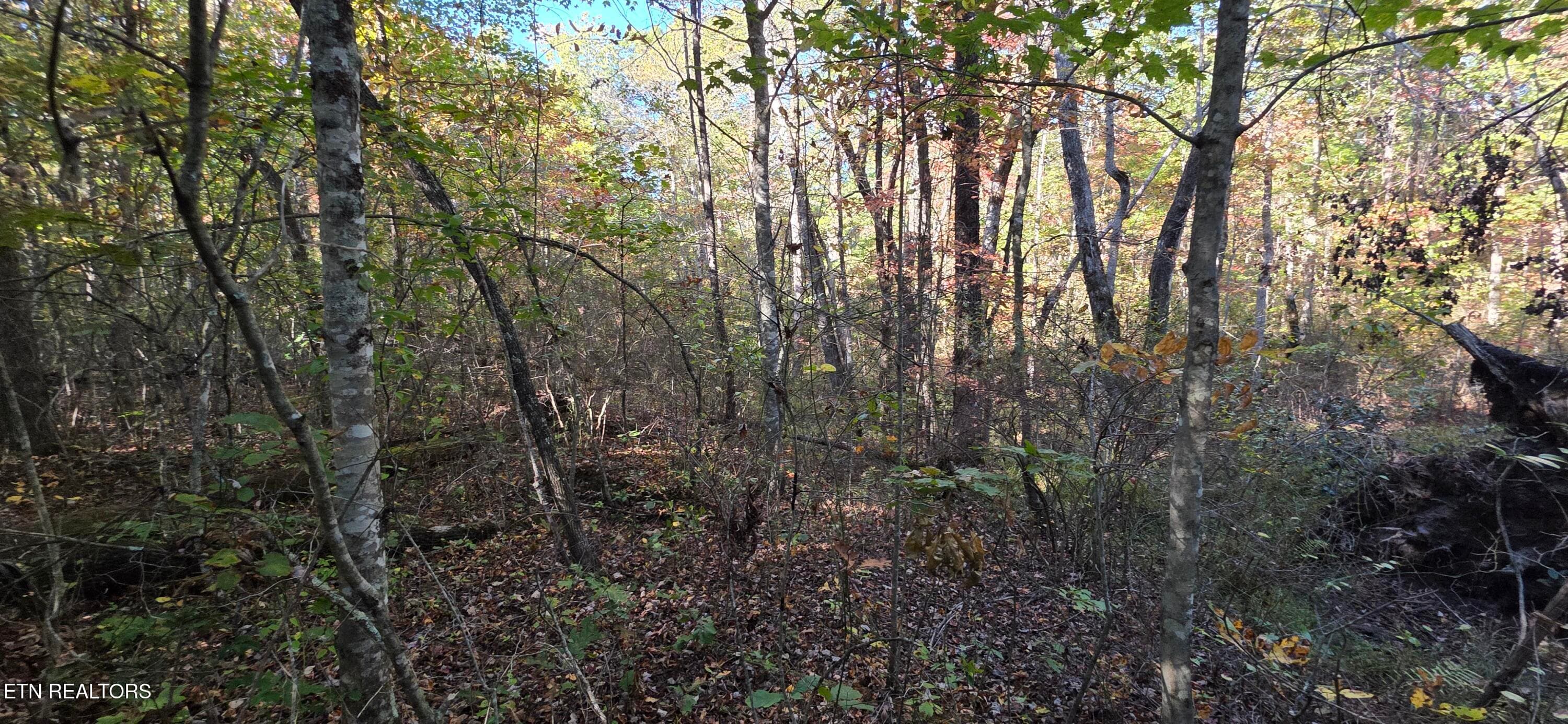 1000024289 - 4 Austin Drive, Monterey, TN 38574