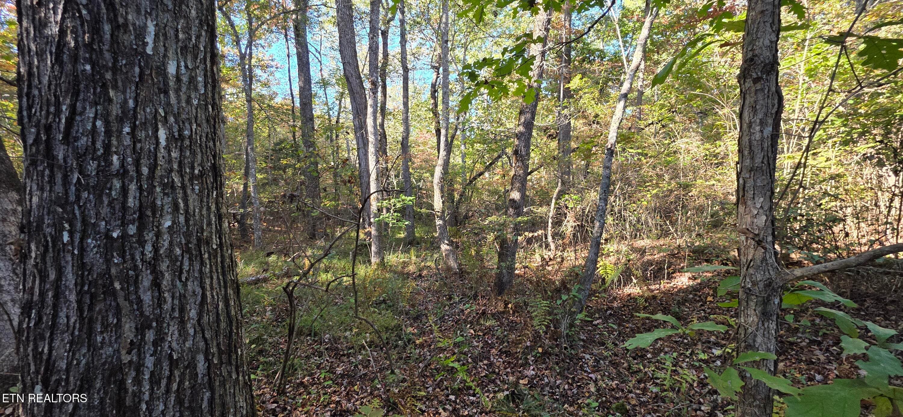 1000024290 - 4 Austin Drive, Monterey, TN 38574
