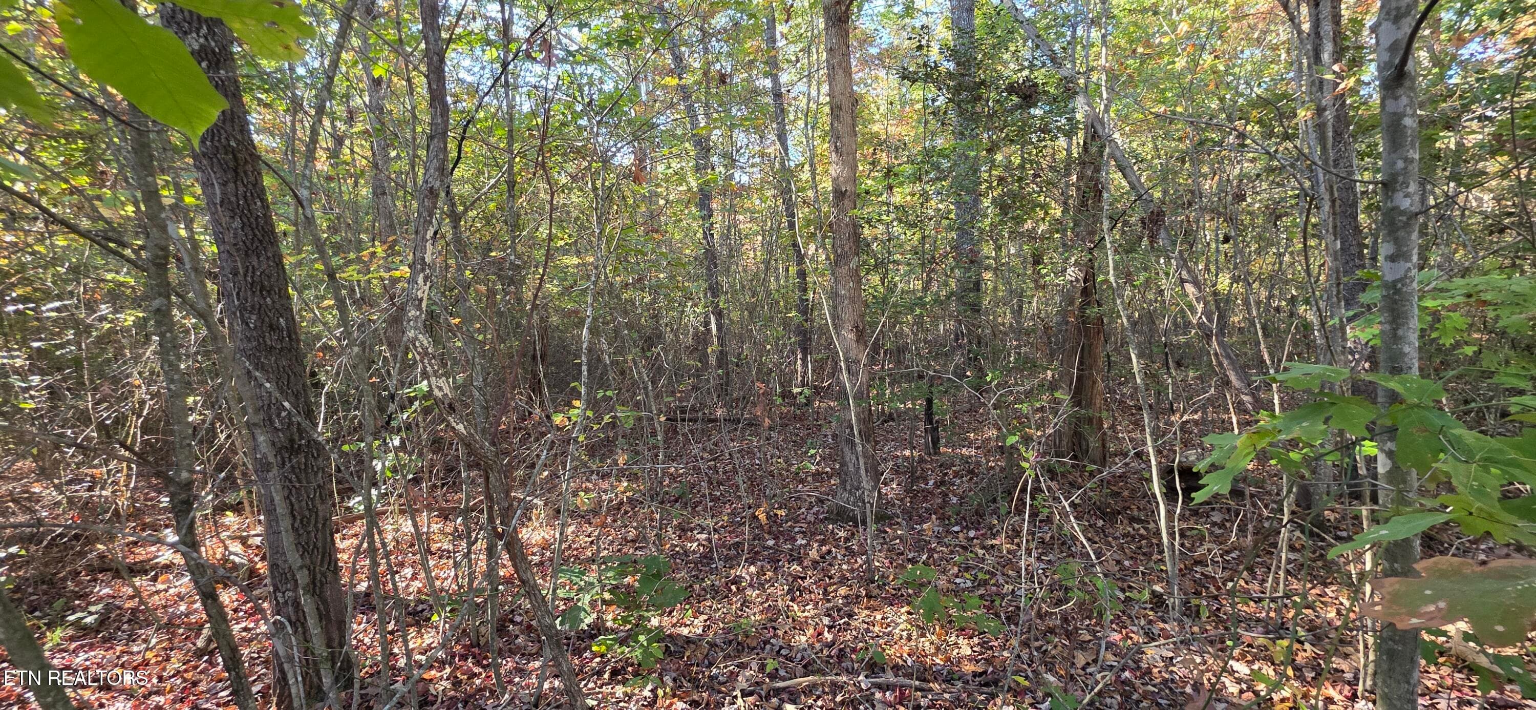 1000024291 - 5 Austin Drive, Monterey, TN 38574