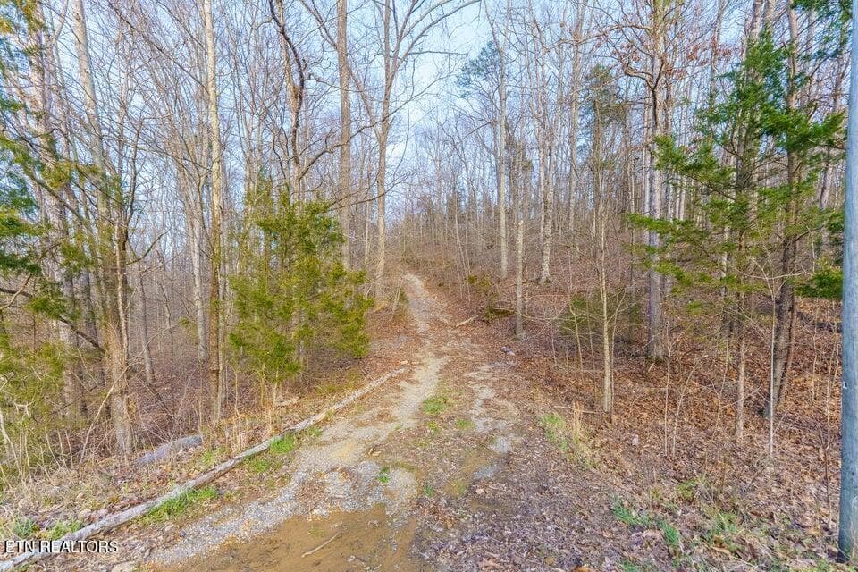 20250327163326302132000000-o - Douglas Dam Rd, Sevierville, TN 37876