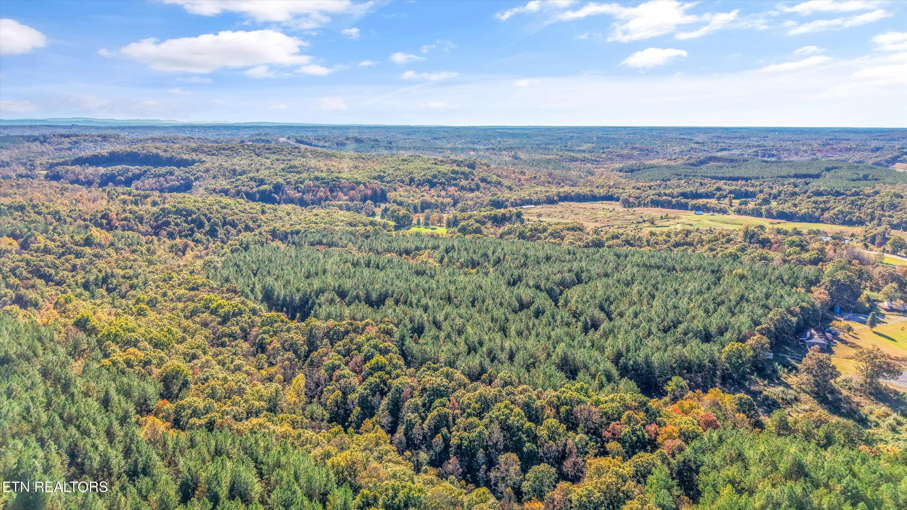 Timber Investment Potential - 0 Morgan Co Hwy, Sunbright, TN 37872