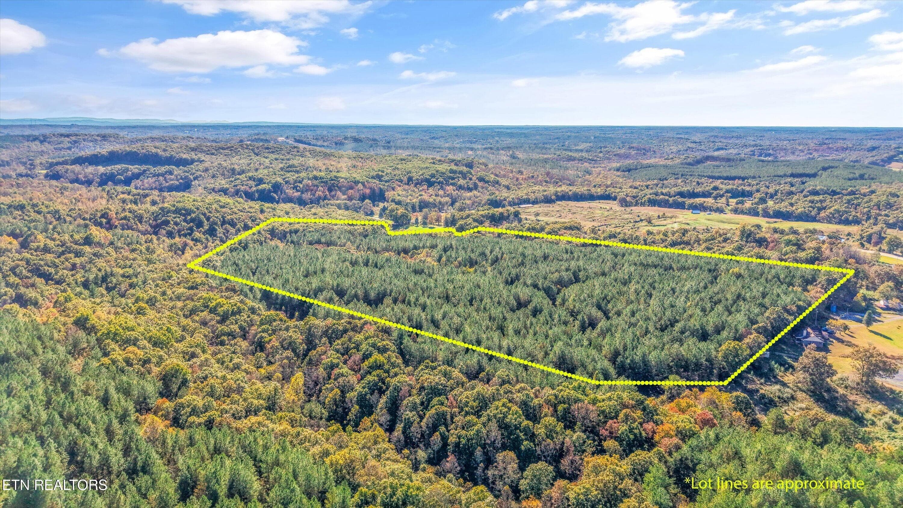 0 Morgan Co Hwy, Sunbright, TN 37872