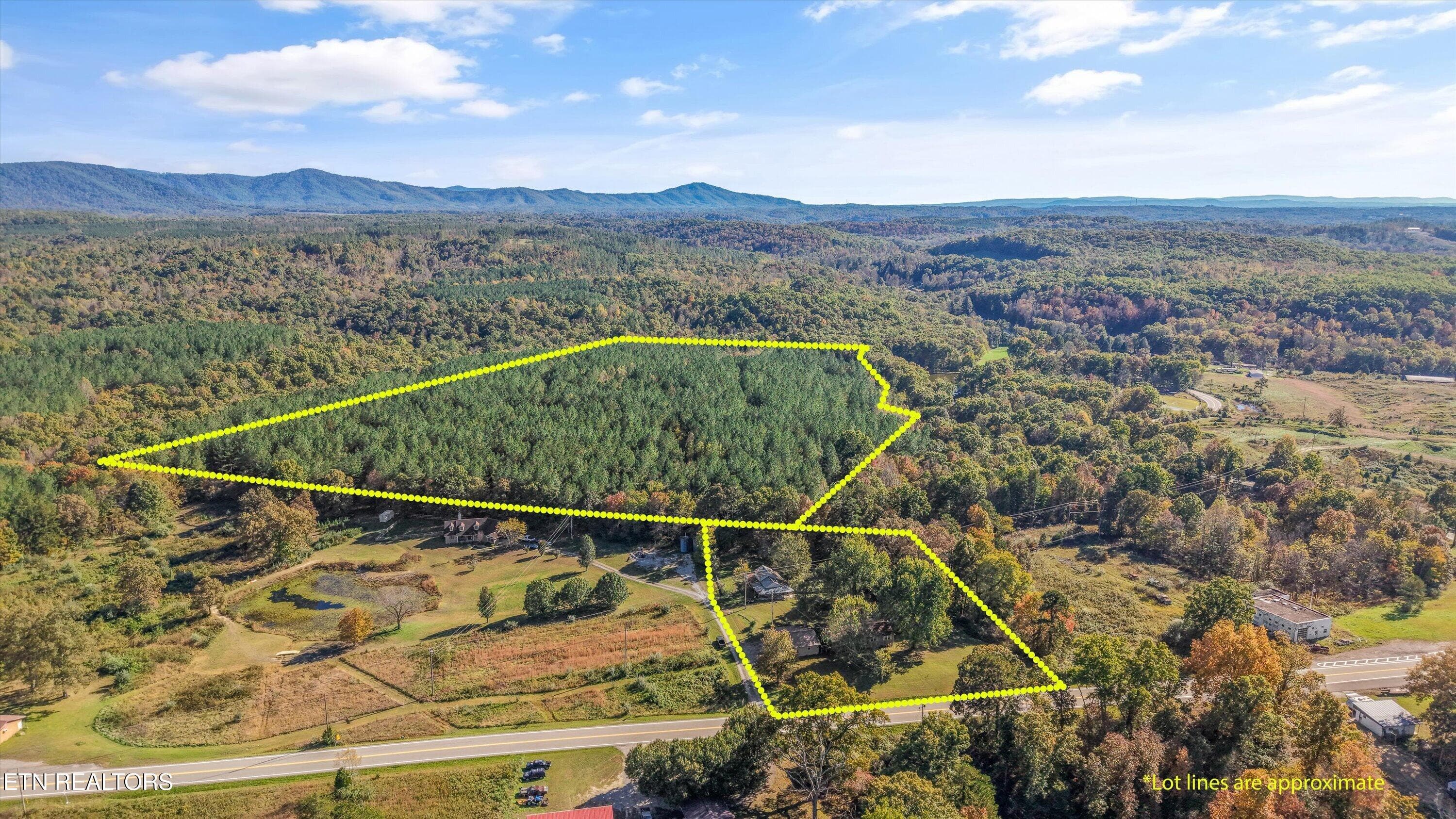 Land and Home Property Opportunity - 0 Morgan Co Hwy, Sunbright, TN 37872