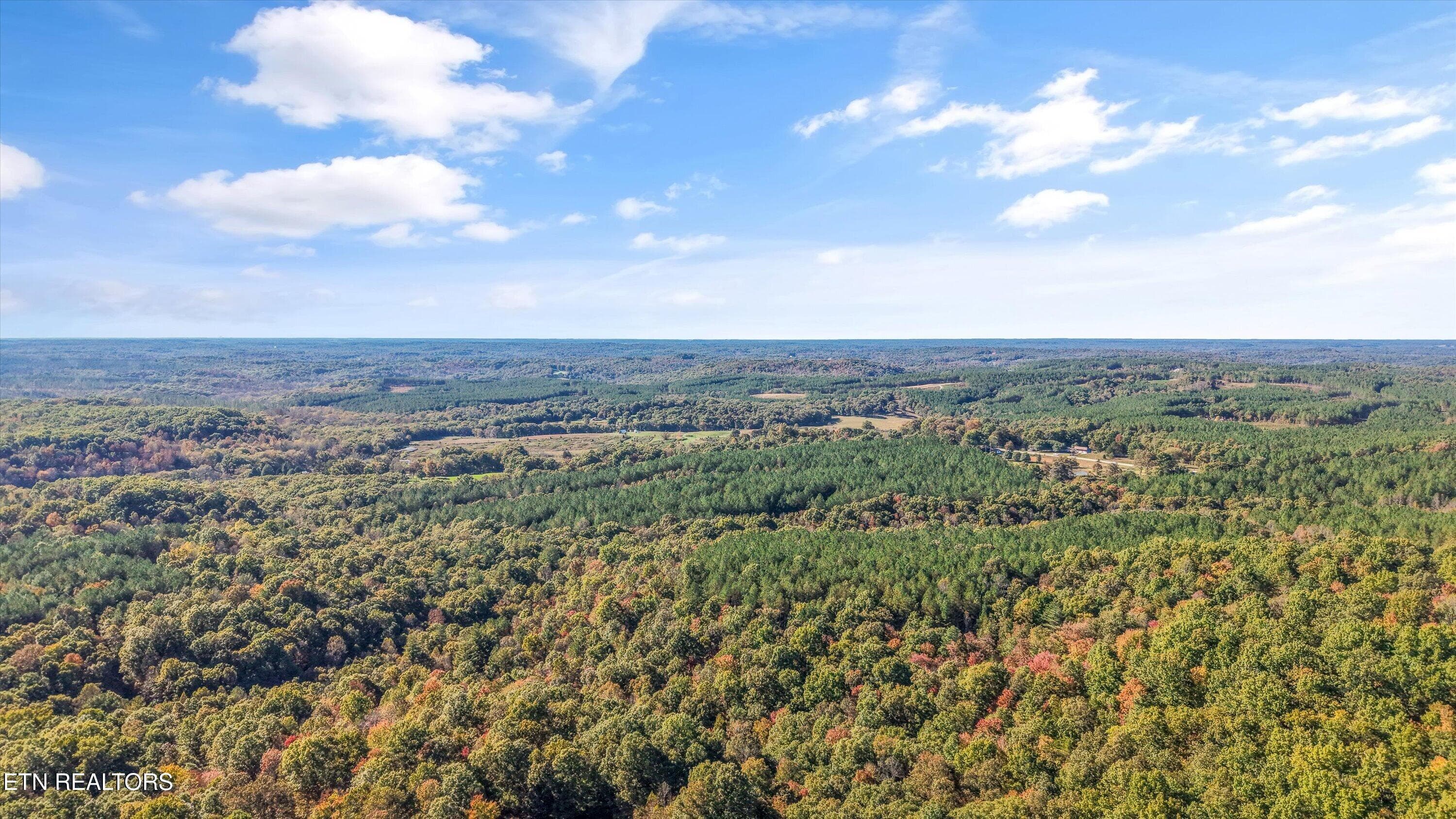Secluded Woodland Setting - 0 Morgan Co Hwy, Sunbright, TN 37872