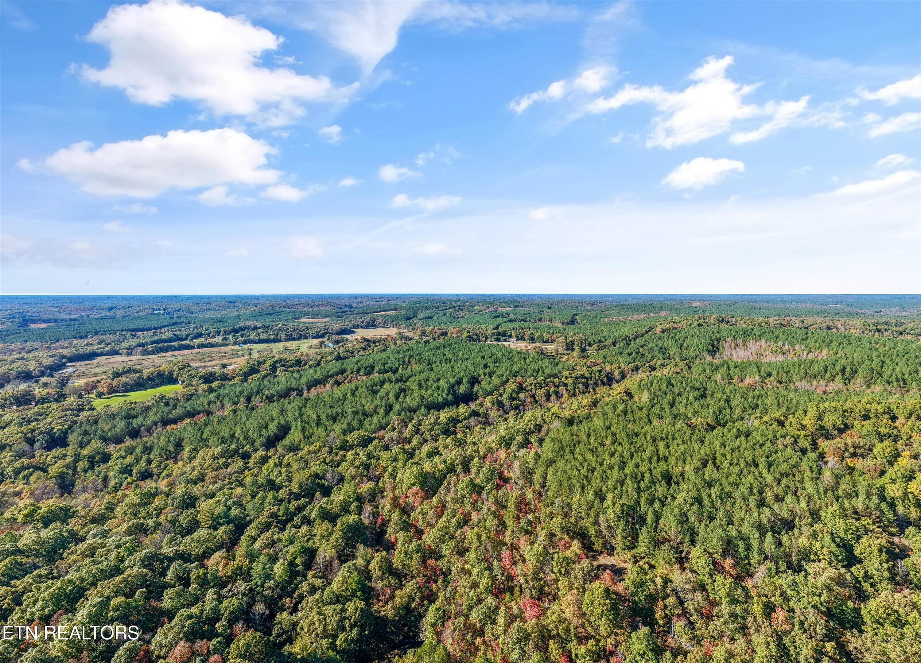 Mature Trees and Forest Cover - 0 Morgan Co Hwy, Sunbright, TN 37872