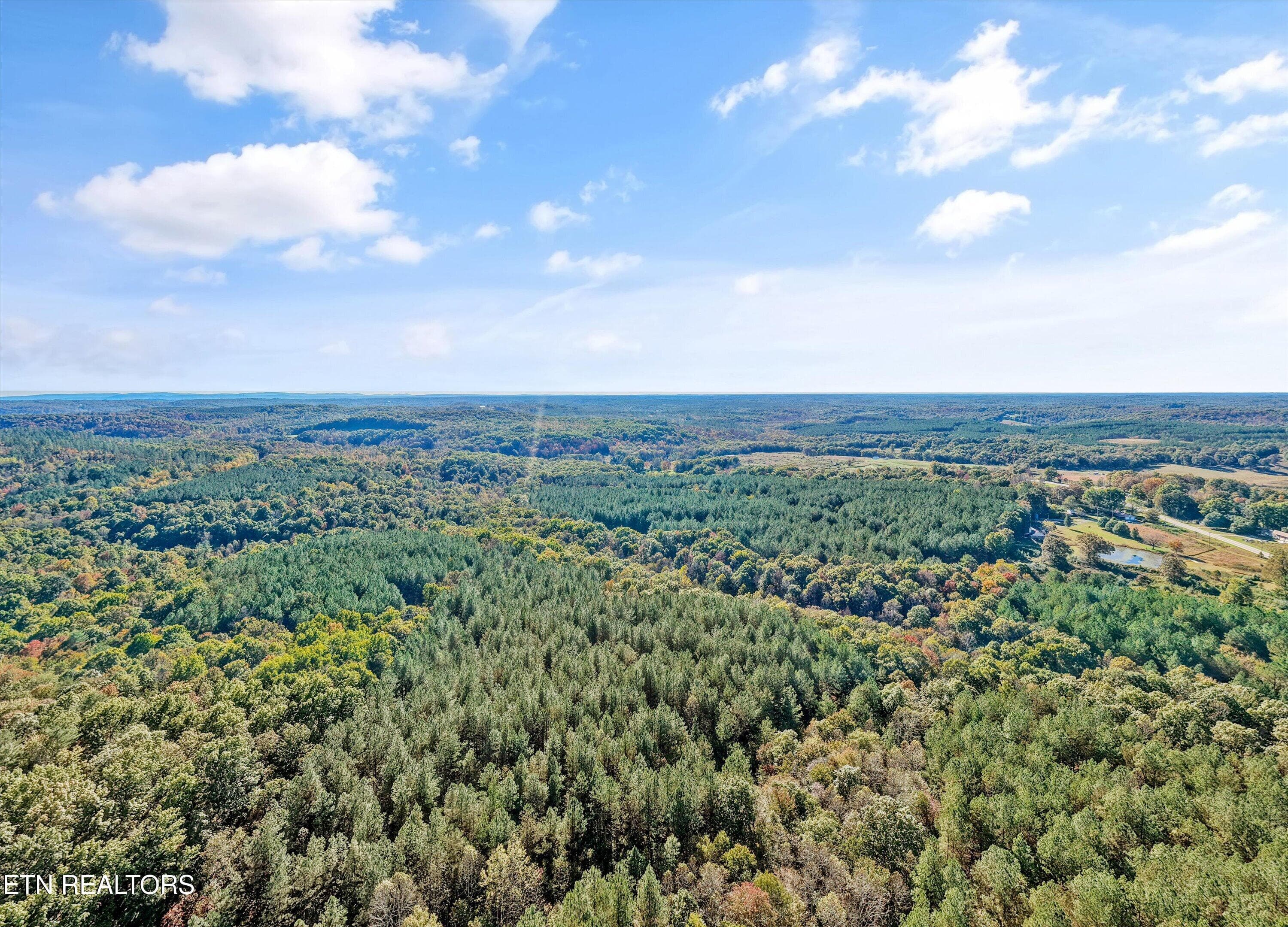 38 Acres of Possibilities - 0 Morgan Co Hwy, Sunbright, TN 37872