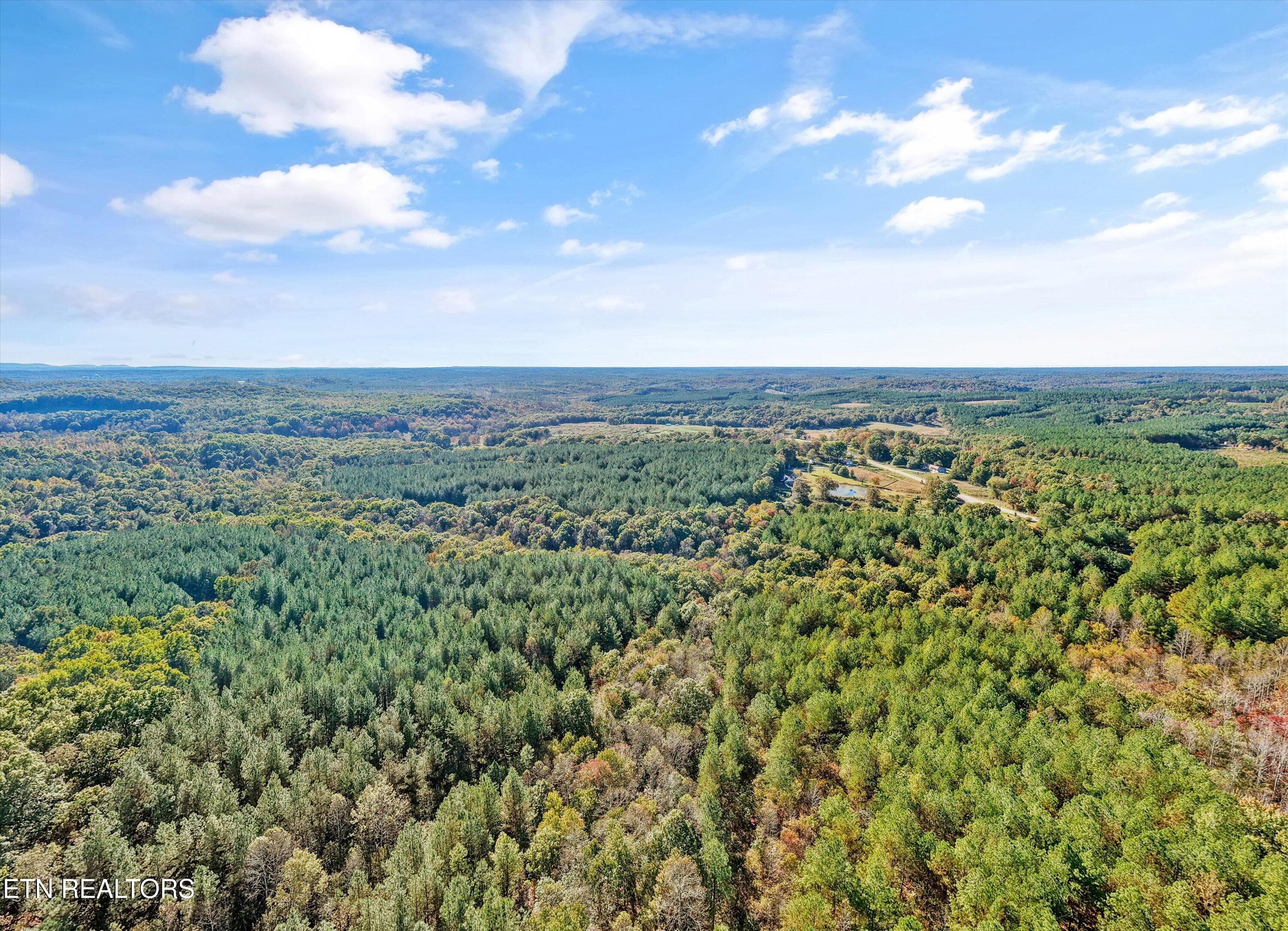 Private Hunting Retreat Potential - 0 Morgan Co Hwy, Sunbright, TN 37872
